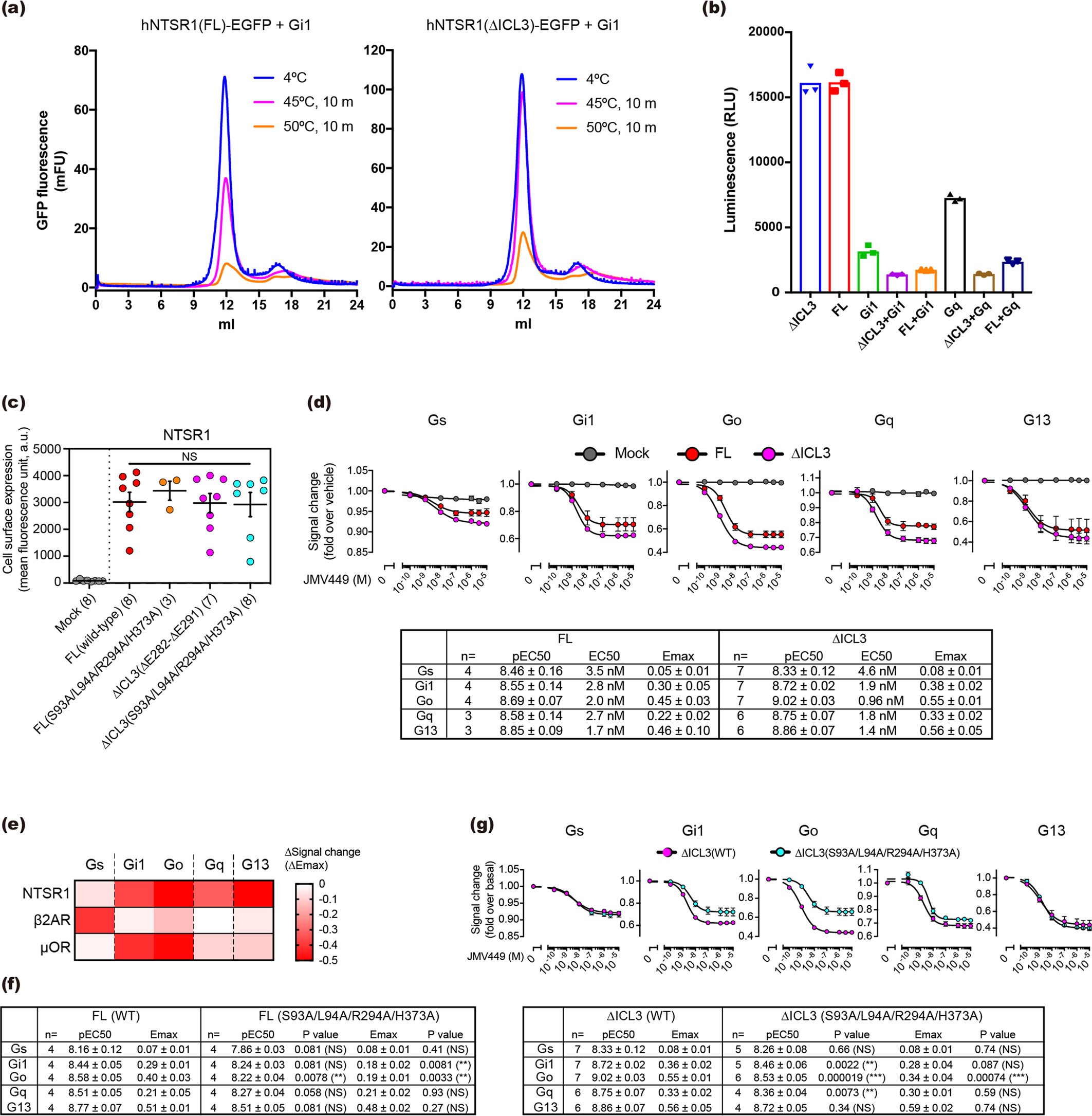 Extended Data Fig. 3: Functional comparison between hNTSR1(FL) and hNTSR1(∆ICL3).