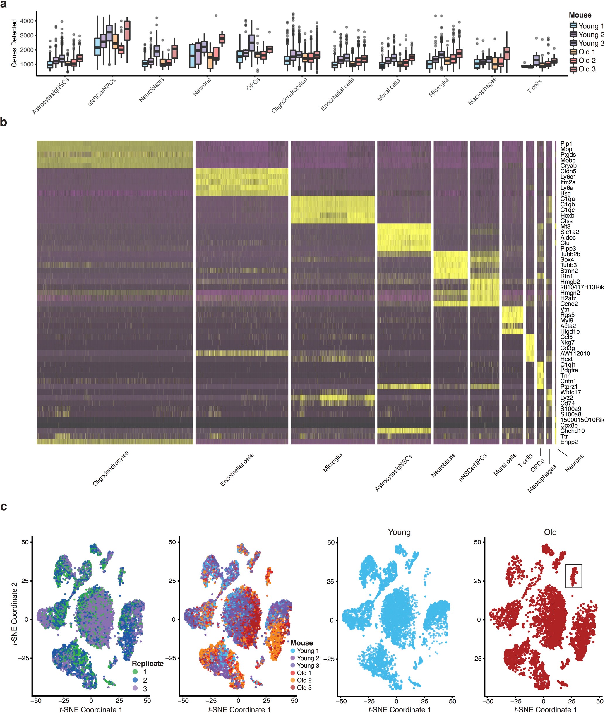 Extended Data Fig. 1: Quality control for 10x Genomics single-cell RNA-seq data.