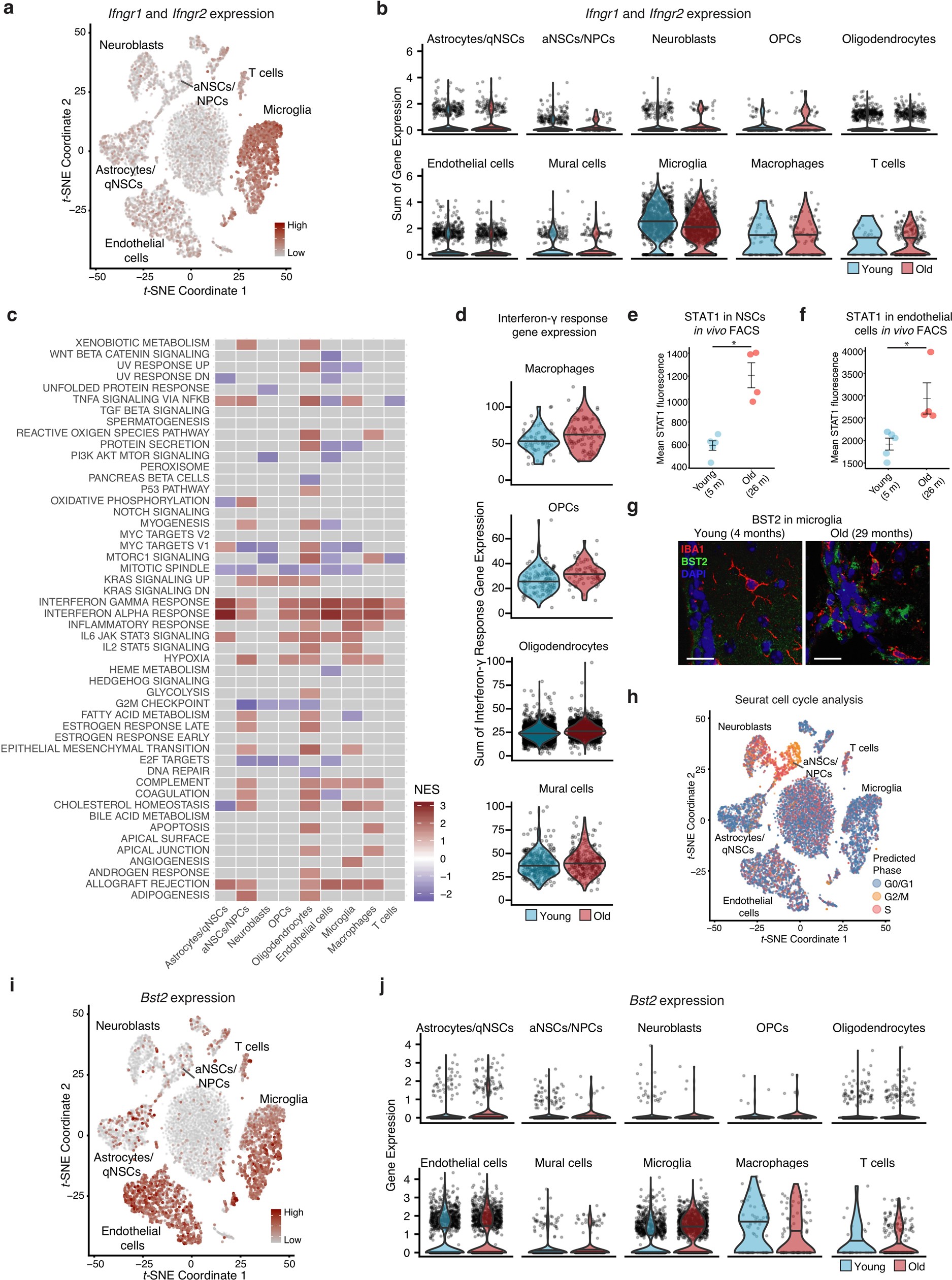 Extended Data Fig. 4