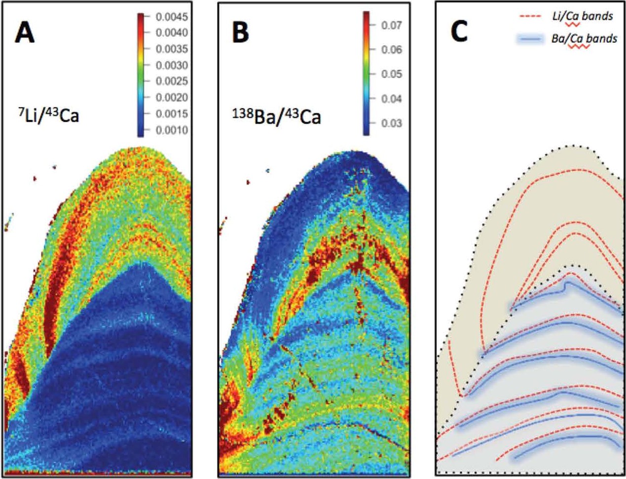 Extended Data Fig. 8