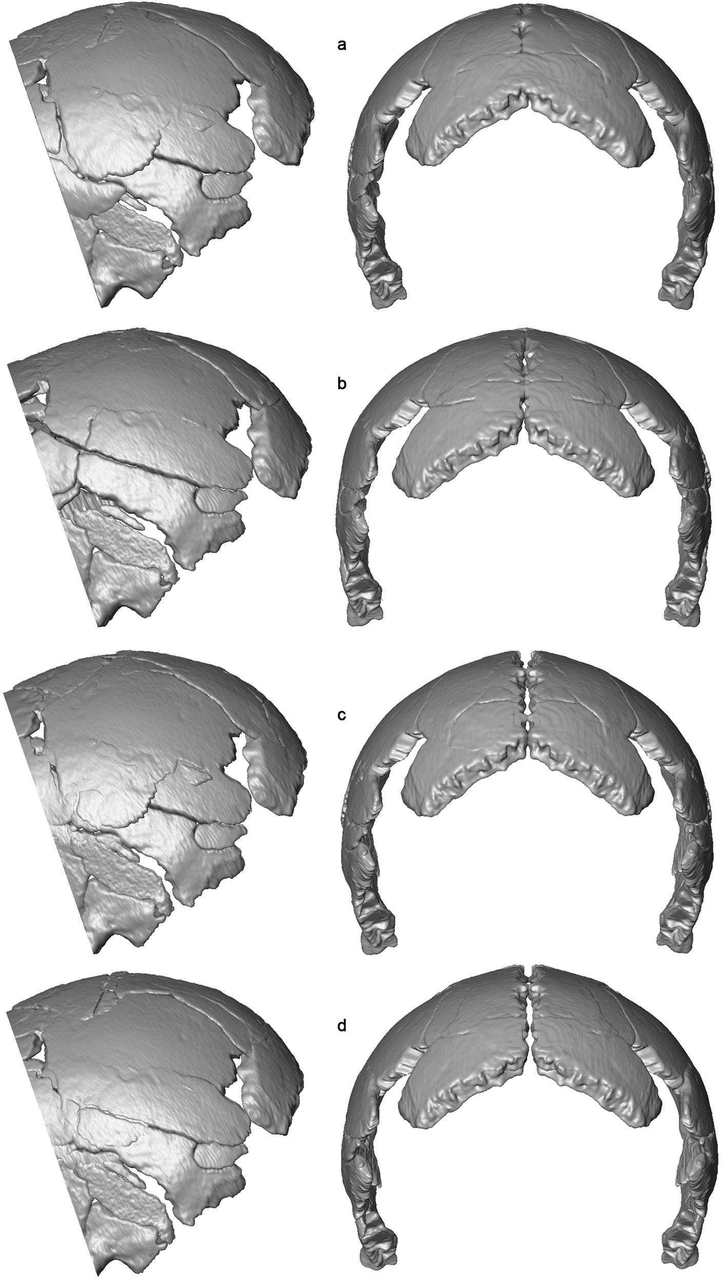 Extended Data Fig. 6