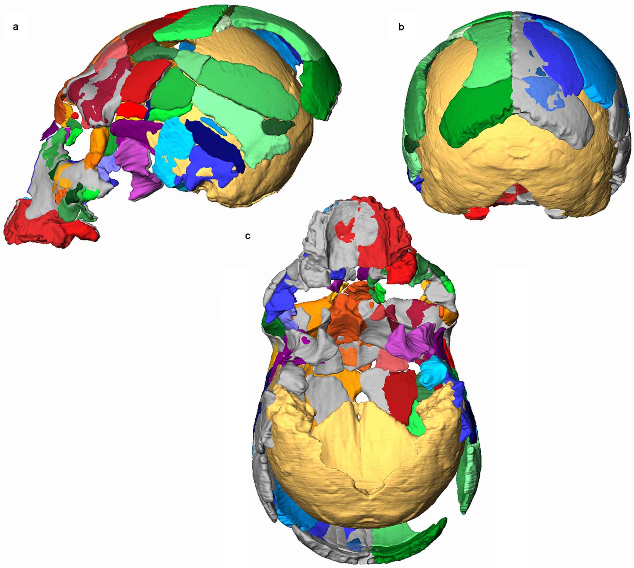 Extended Data Fig. 9