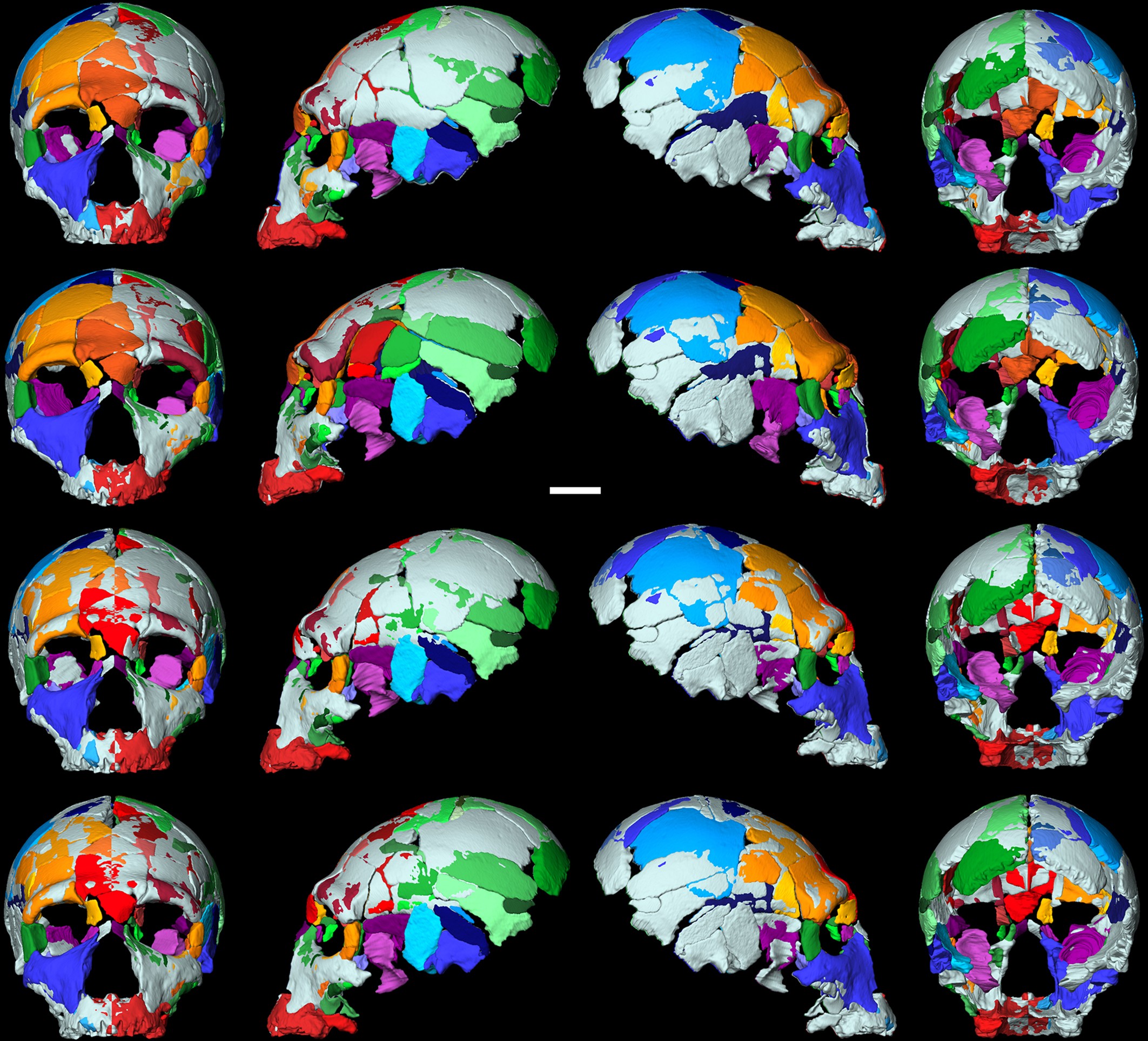 Extended Data Fig. 4