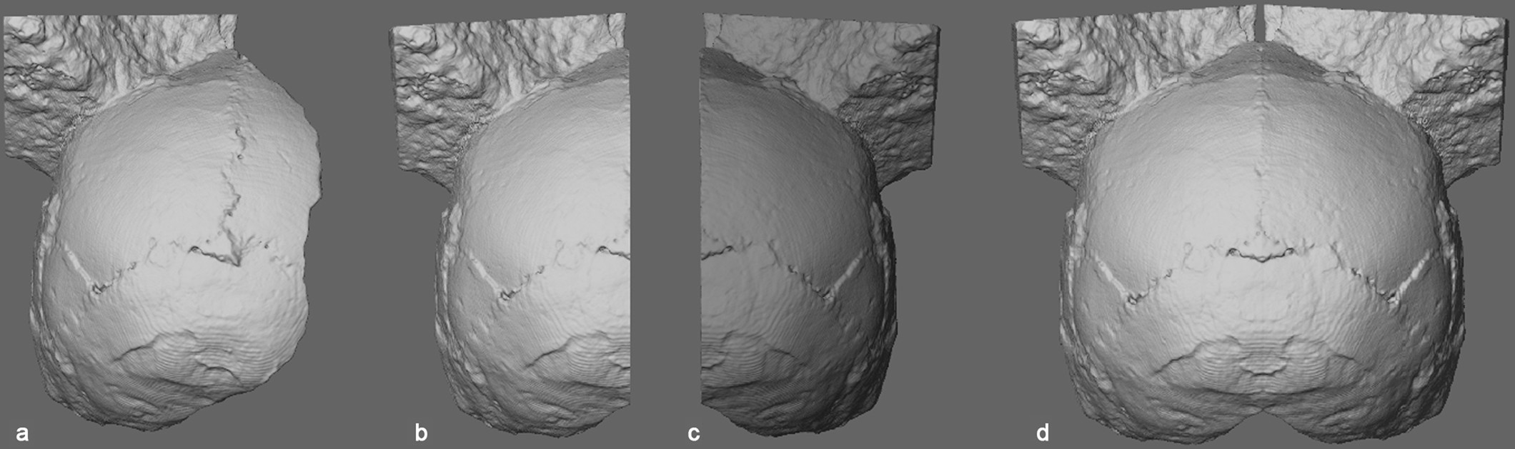 Extended Data Fig. 5