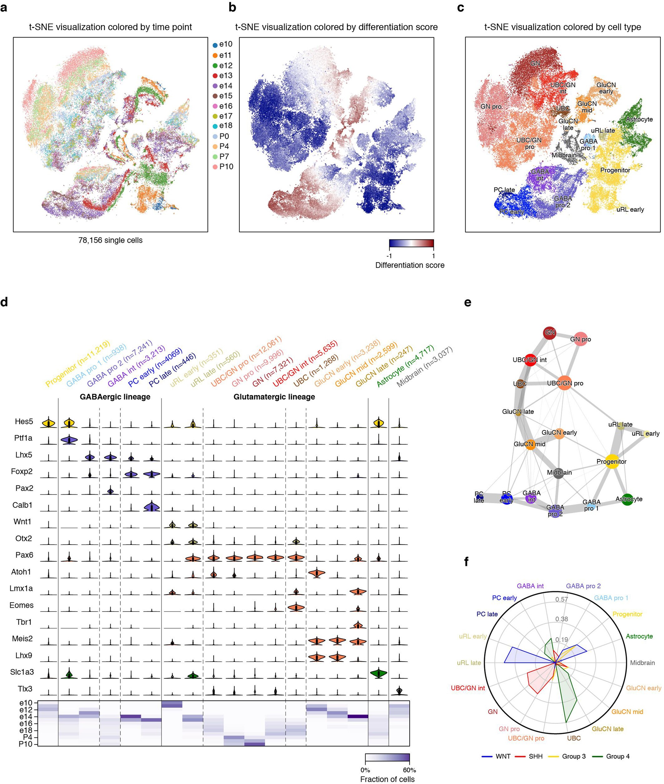 Extended Data Fig. 4: Single-cell mapping of mouse cerebellar development.
