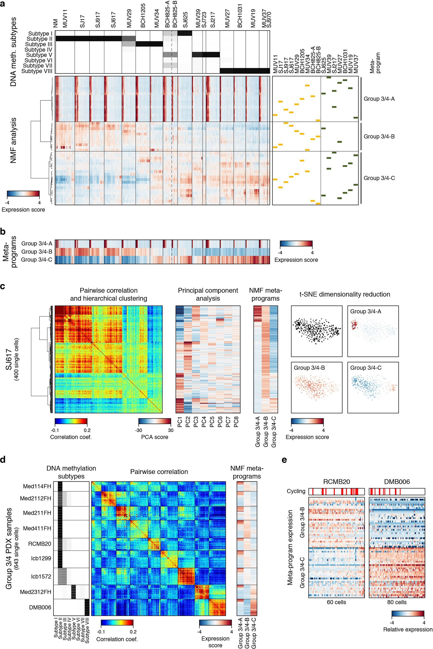 Extended Data Fig. 8: Characterization of Group 3/4 MB single-cell programs.