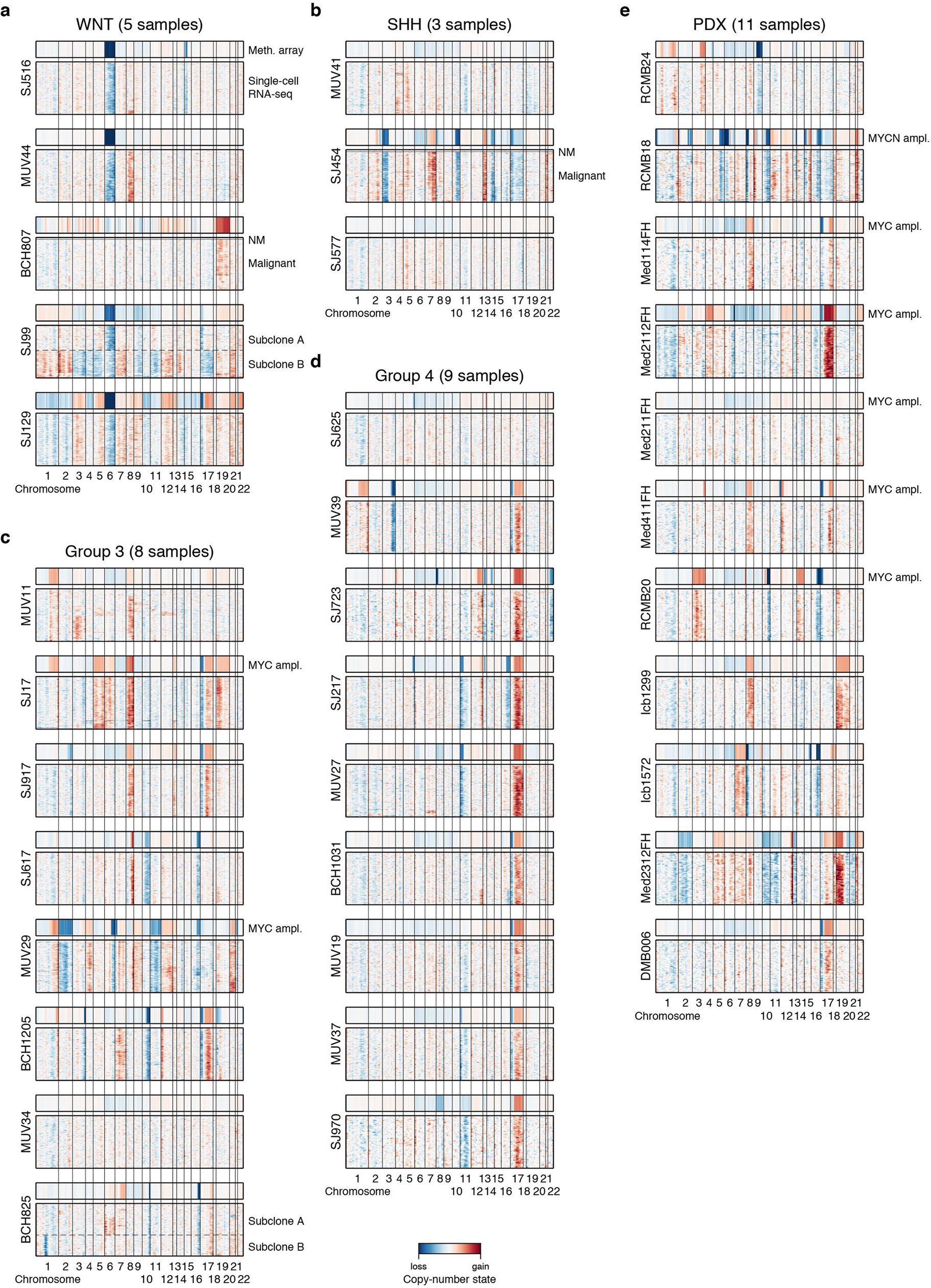 Extended Data Fig. 2: Copy-number analysis distinguishes malignant from non-malignant single cells.