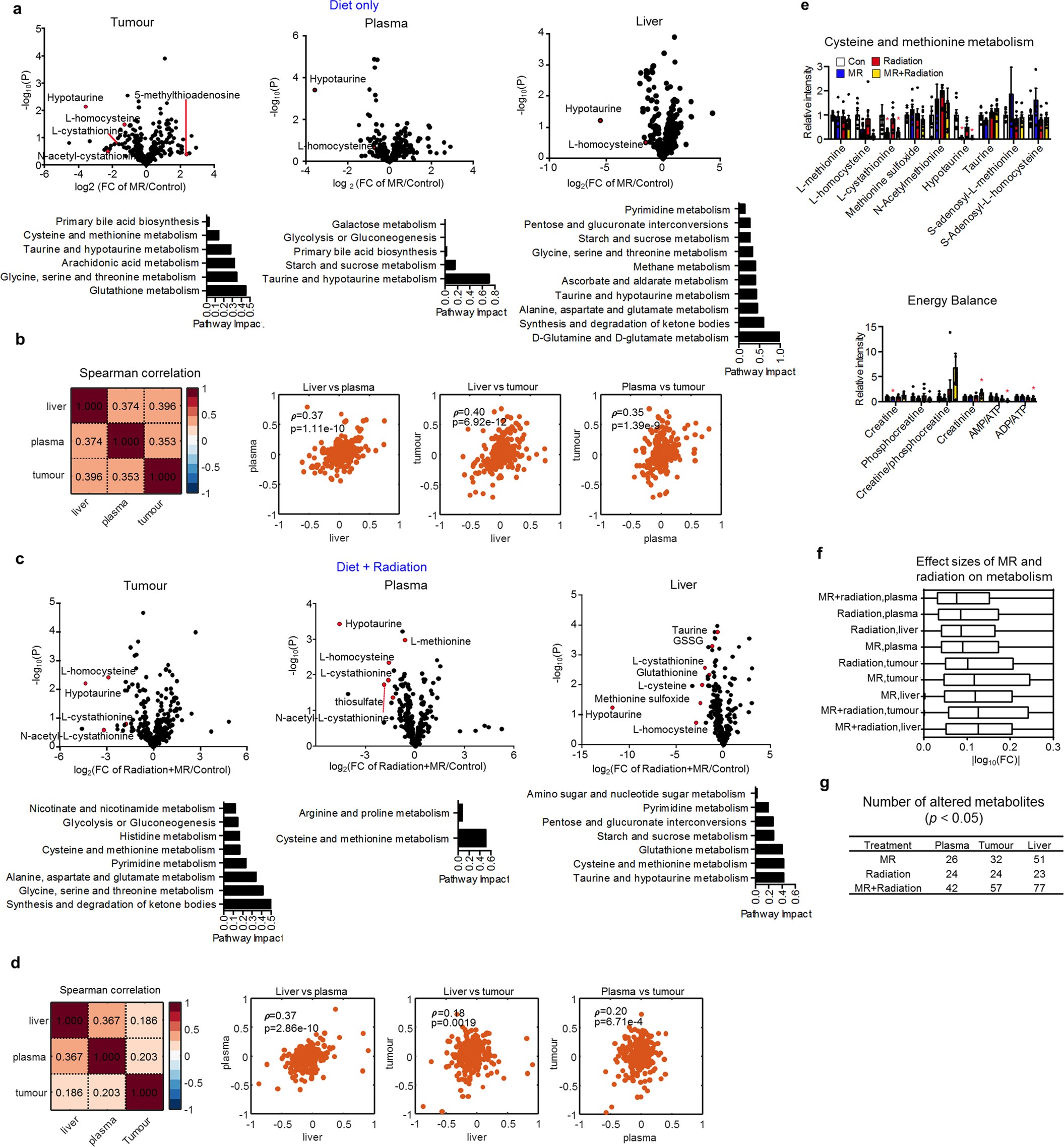 Extended Data Fig. 7: Dietary restriction of methionine sensitizes mouse models of RAS-driven autochthonous sarcoma to radiation.