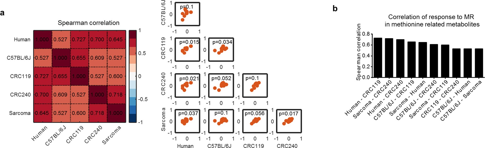 Extended Data Fig. 9: Comparative metabolic effects of methionine restriction across mouse models and humans.