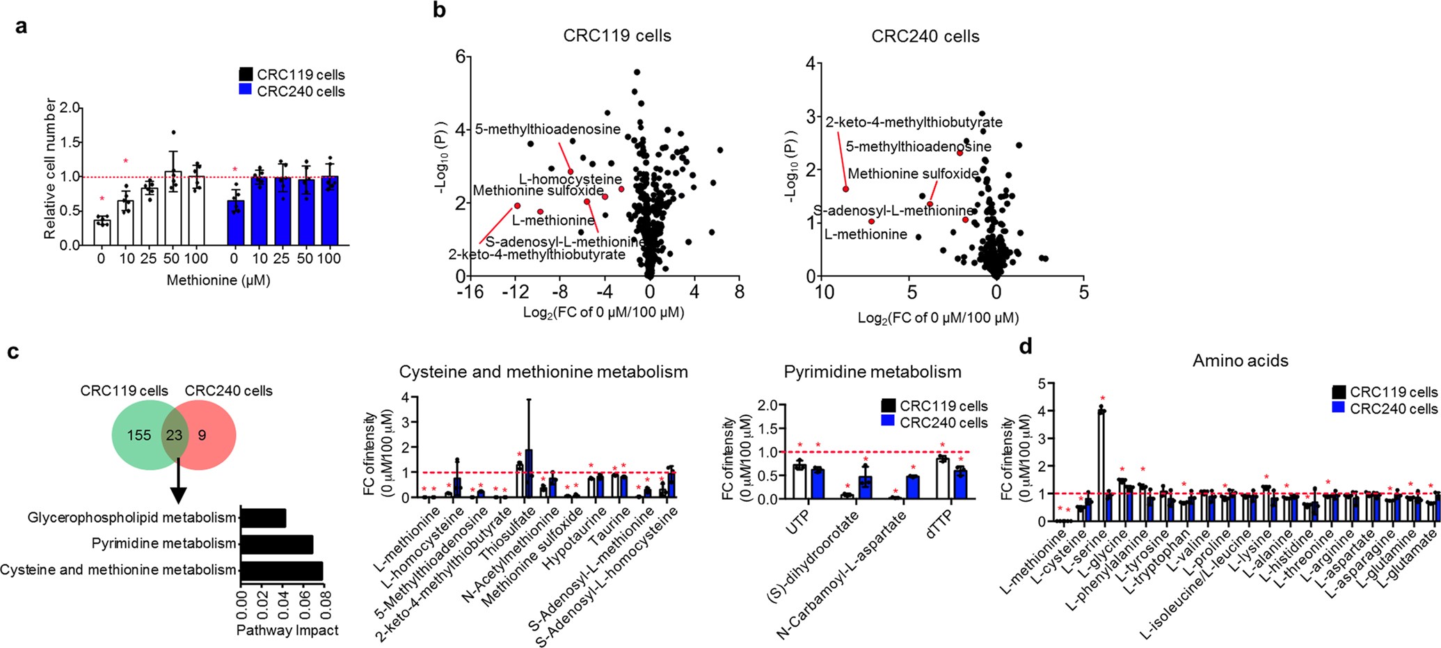 Extended Data Fig. 4: Methionine restriction inhibits cell proliferation, and most substantially alters cysteine and methionine metabolism in primary colorectal cancer cells.