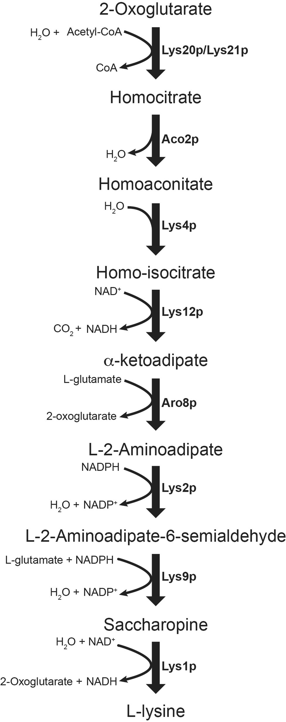 Extended Data Fig. 2