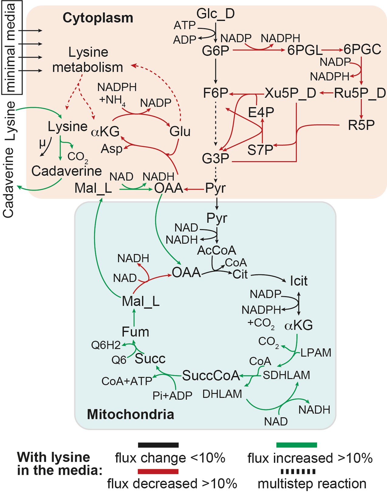 Extended Data Fig. 4
