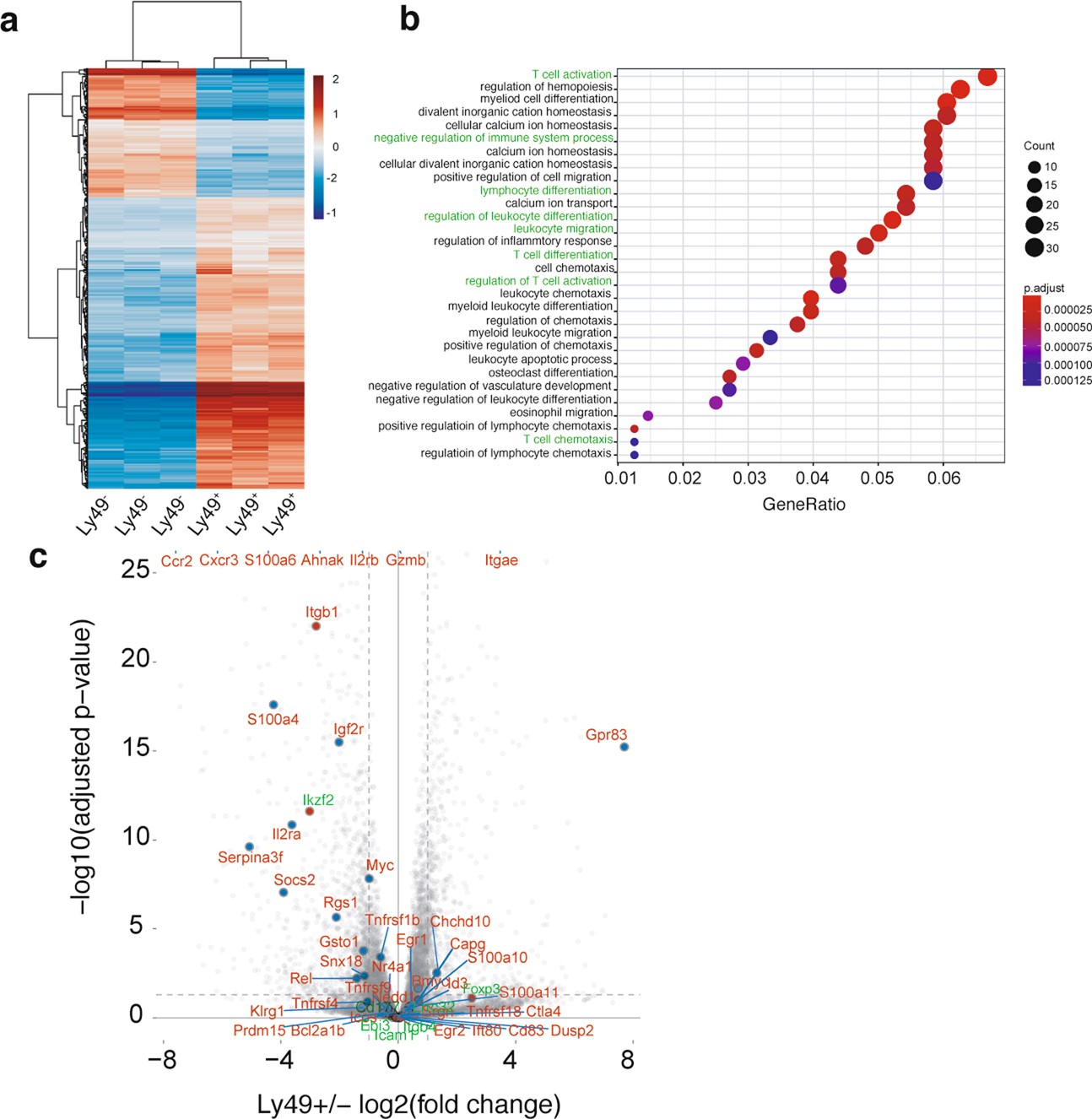 Extended Data Fig. 7: Transcriptional profiling of Ly49+ versus Ly49− cells.