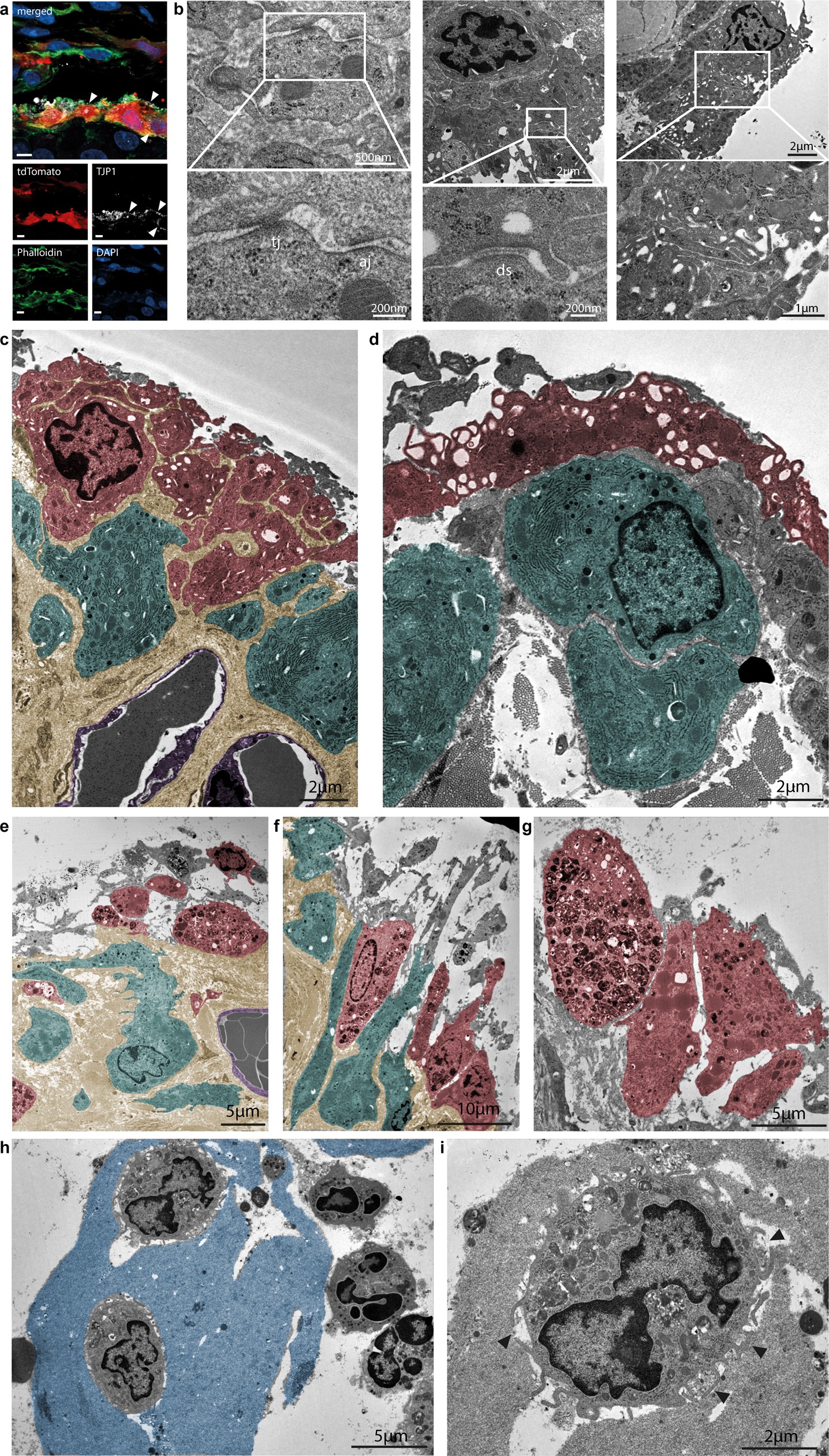 Extended Data Fig. 7