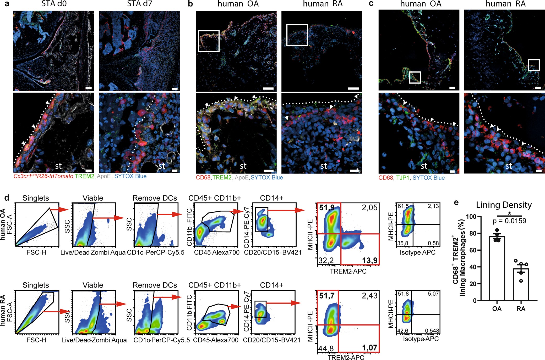 Extended Data Fig. 8