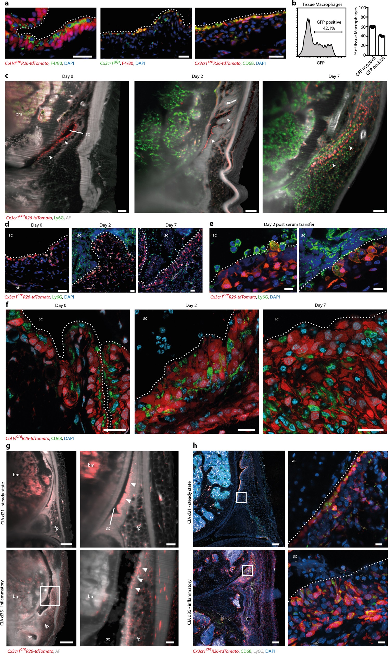 Extended Data Fig. 1