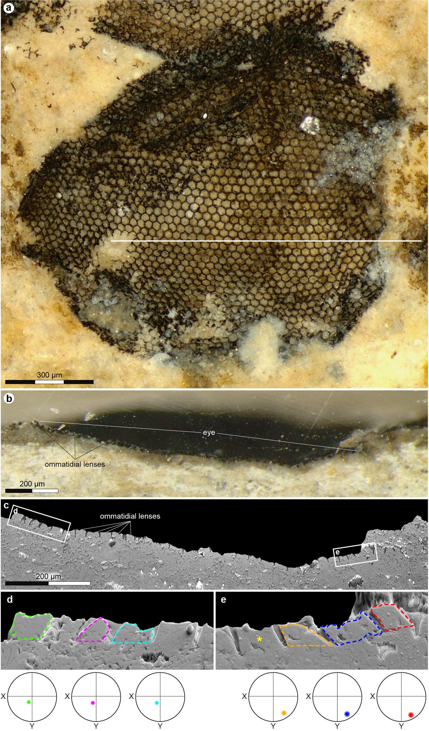 Extended Data Fig. 3