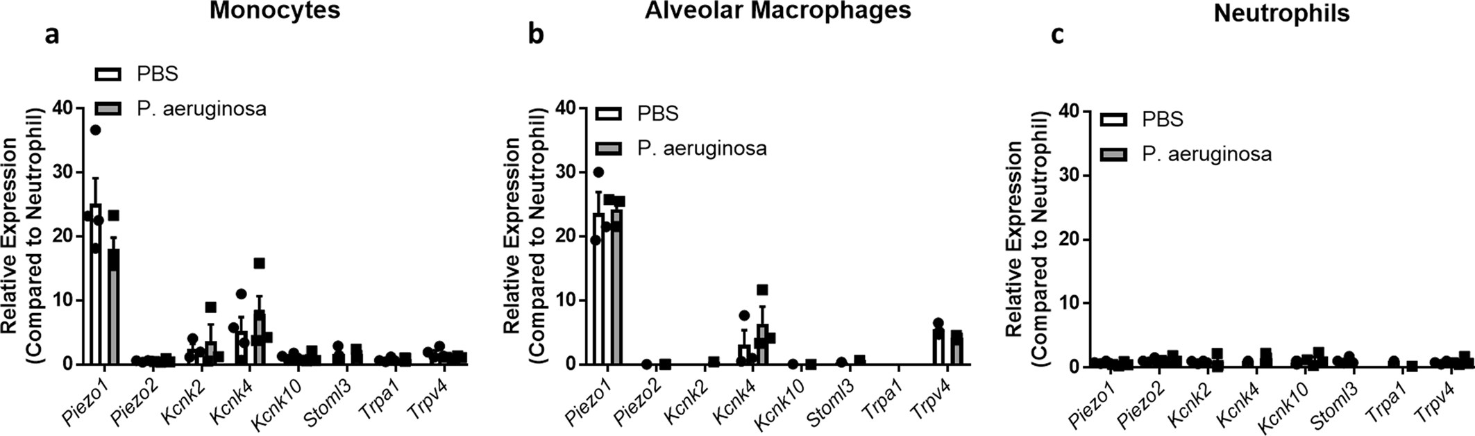 Extended Data Fig. 5: Bacterial infection has no effect on MSIC expression.