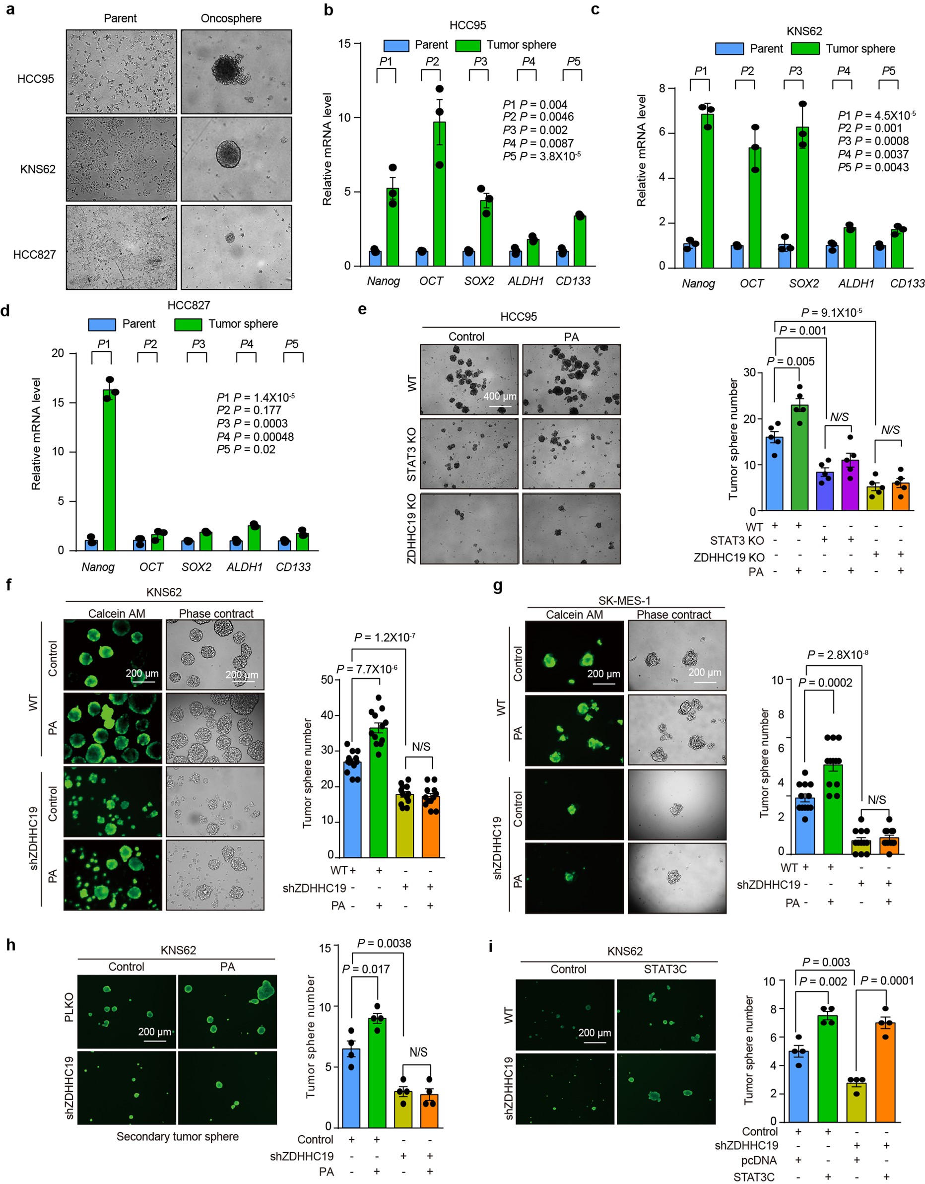 Extended Data Fig. 8