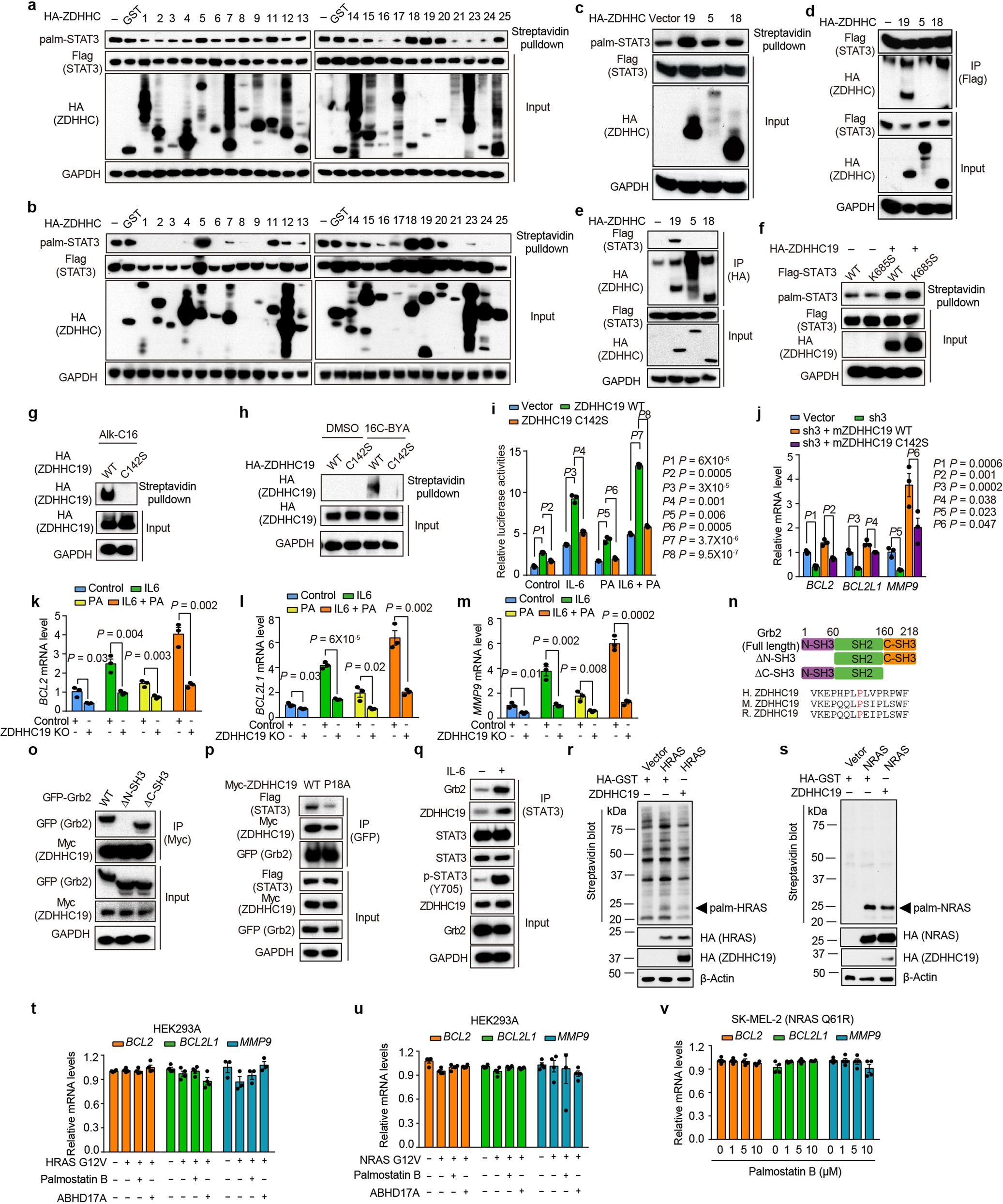 Extended Data Fig. 4