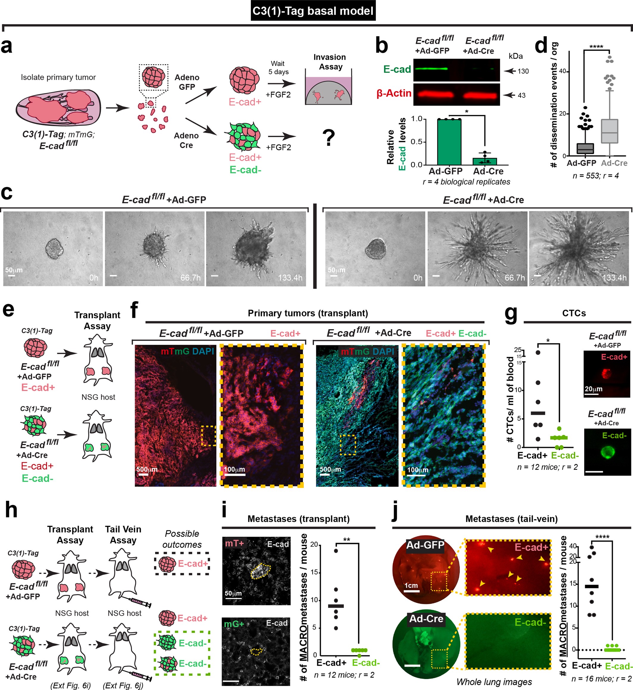 Extended Data Fig. 6