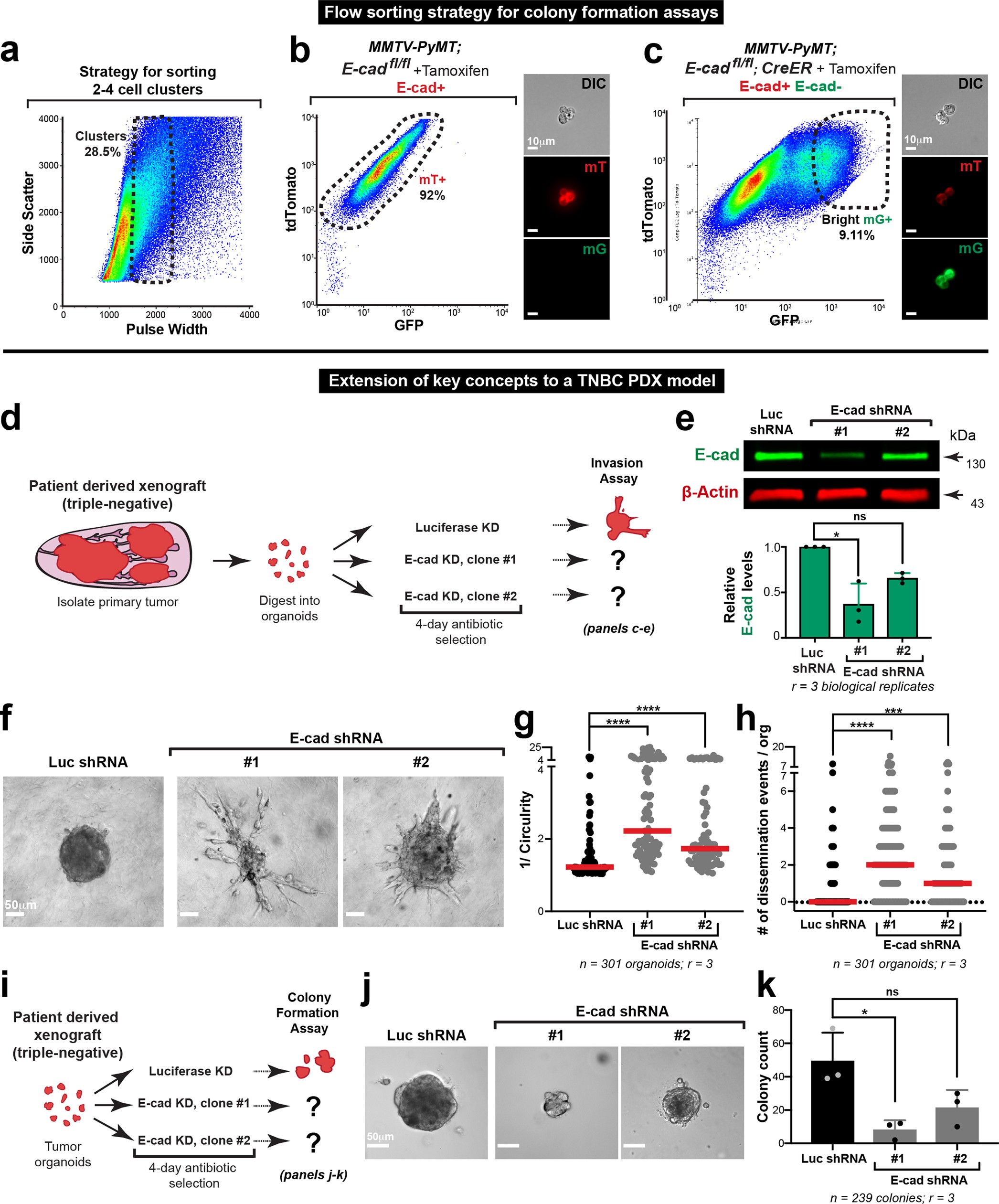 Extended Data Fig. 7