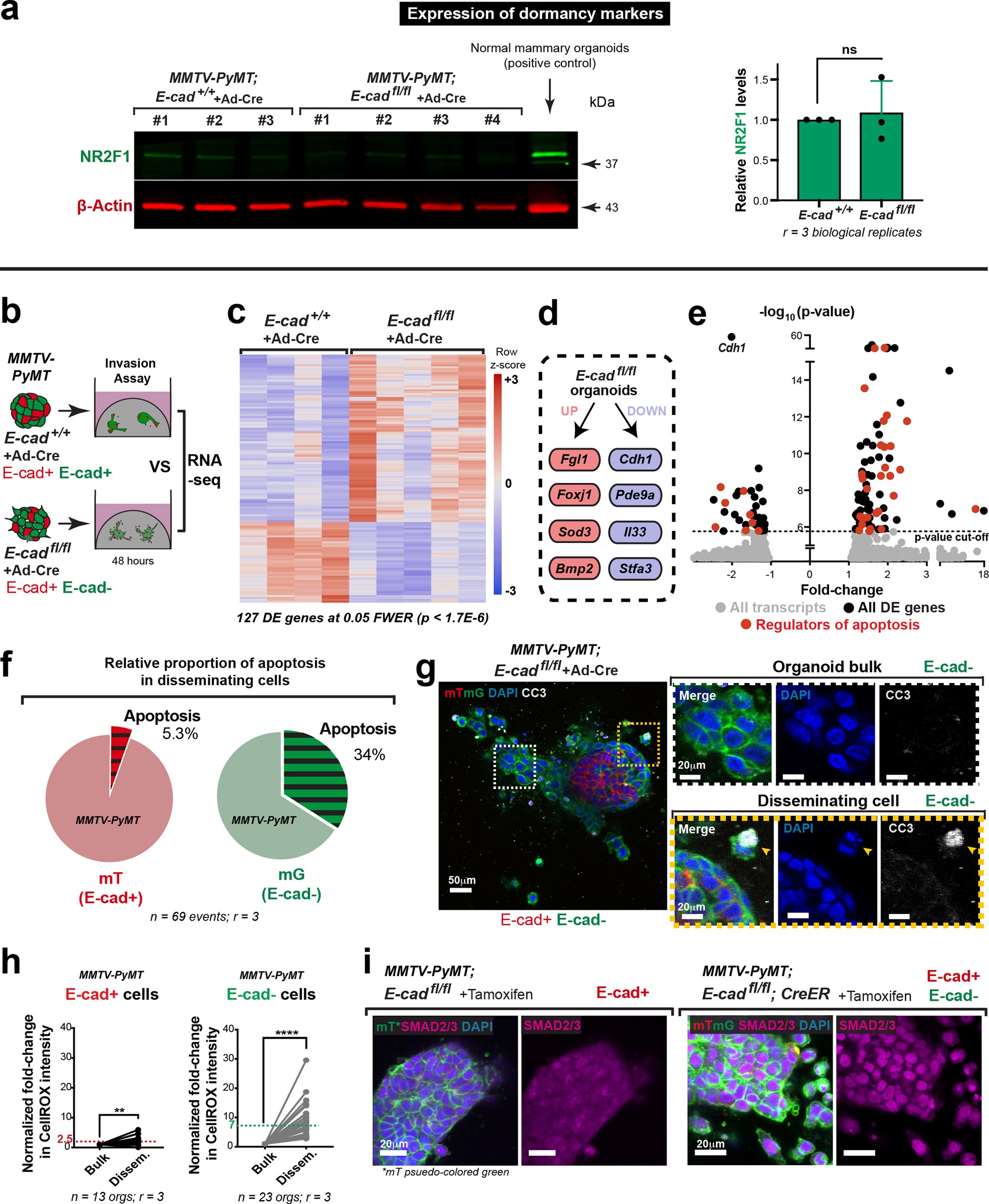 Extended Data Fig. 8