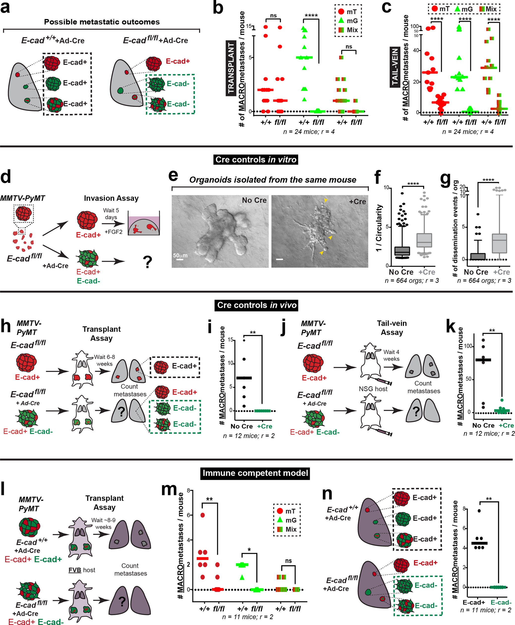 Extended Data Fig. 4