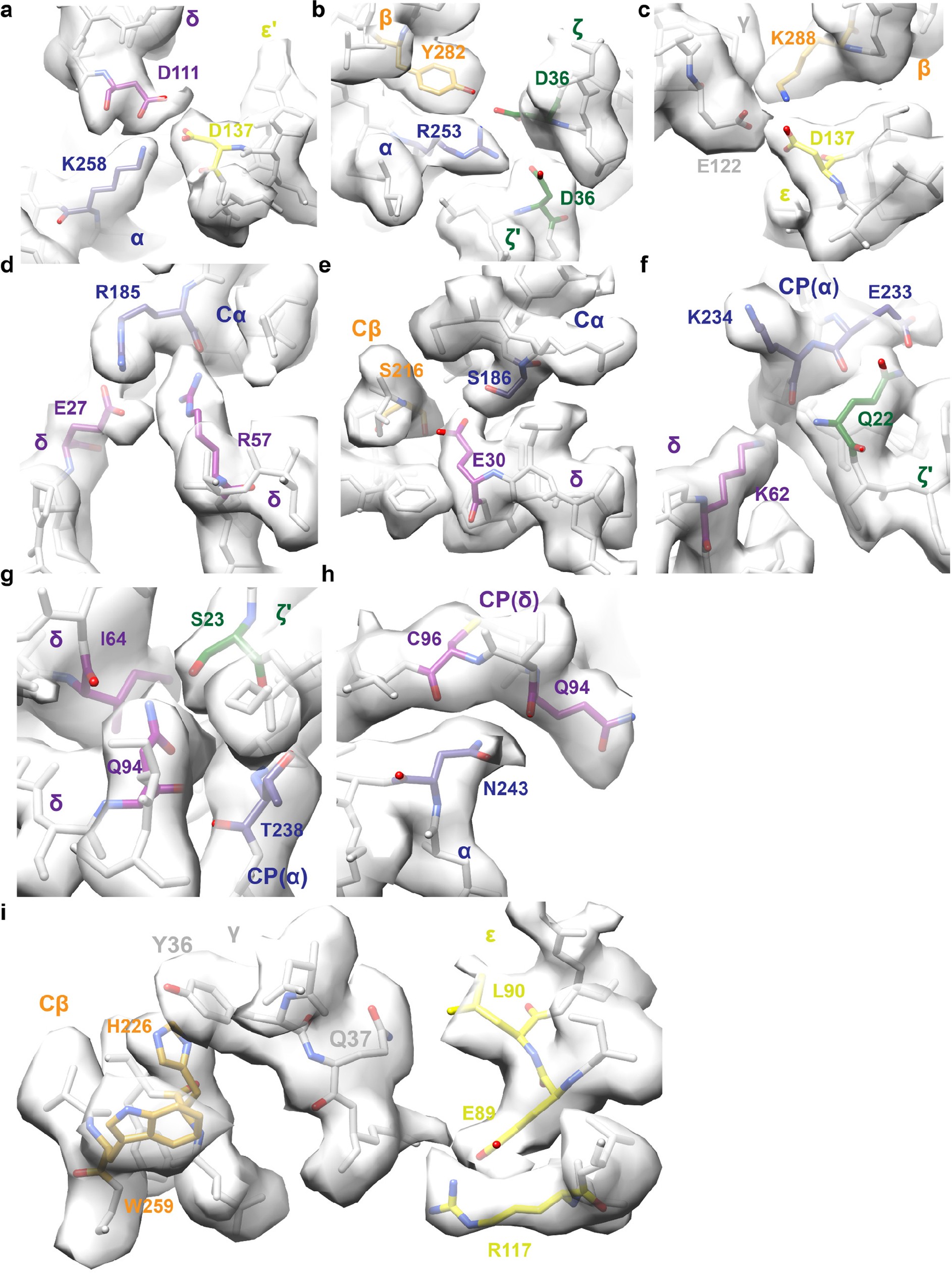 Extended Data Fig. 7