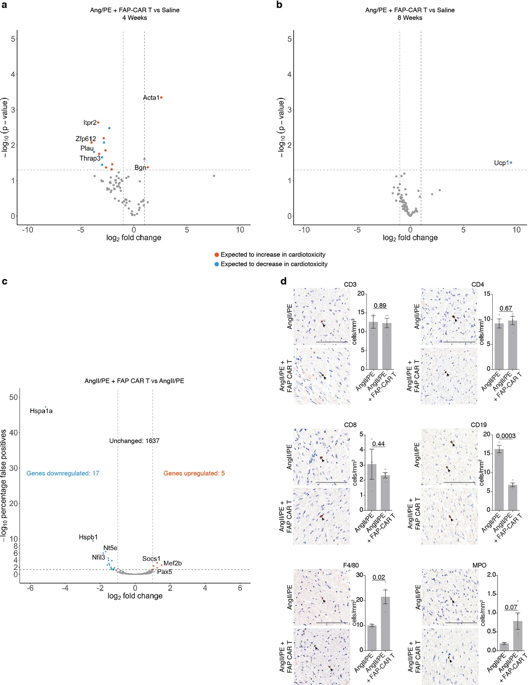 Extended Data Fig. 8: Cardiotoxicity, inflammation and immune assessments after FAP CAR T cell transfer.