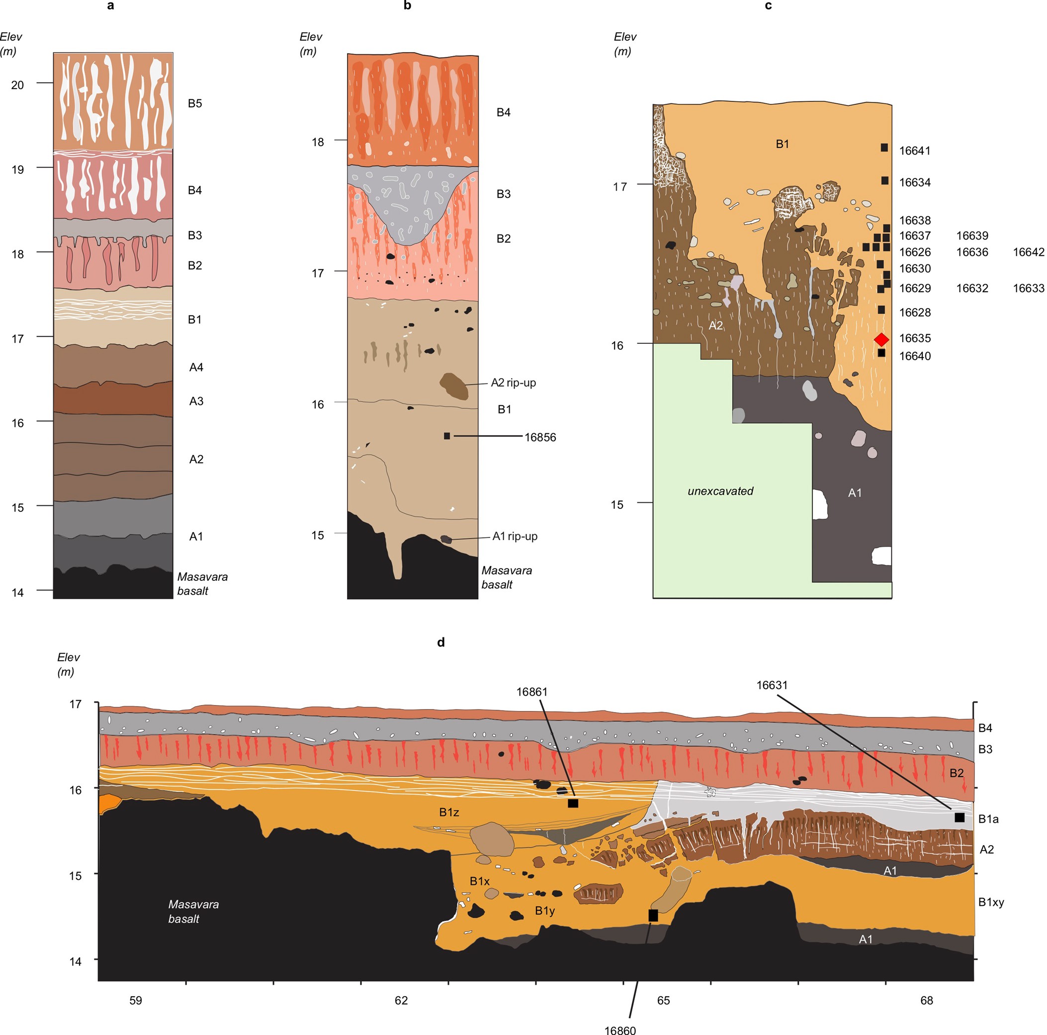 Extended Data Fig. 1: Generalized stratigraphic profiles for Dmanisi, indicating origins of the specimens.