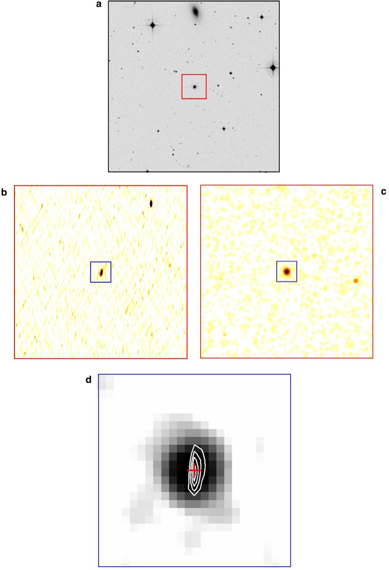 Extended Data Fig. 1