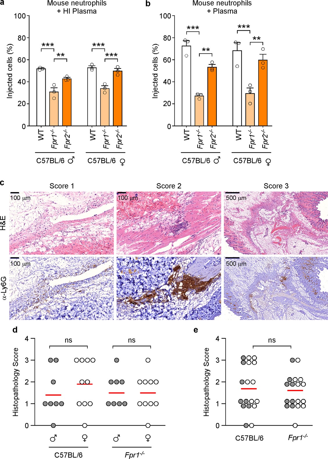 Extended Data Fig. 7