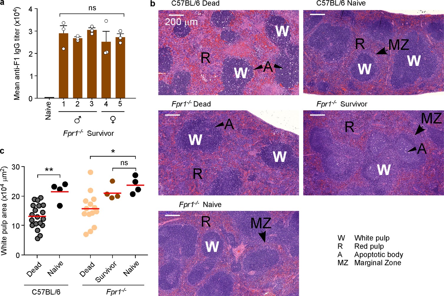 Extended Data Fig. 8