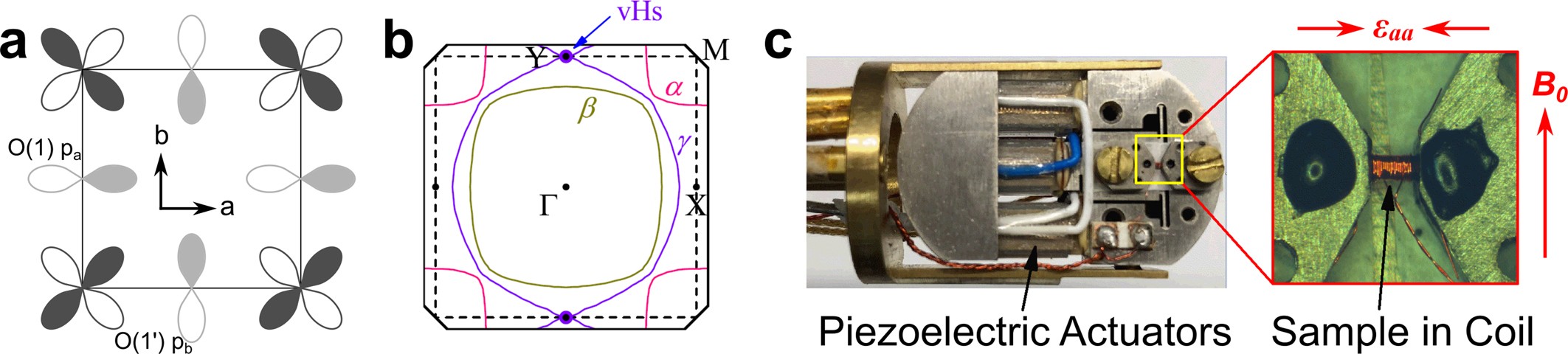 Extended Data Fig. 1: RuO2 plane, with dxy−p hybridizing orbitals and experimental setup.