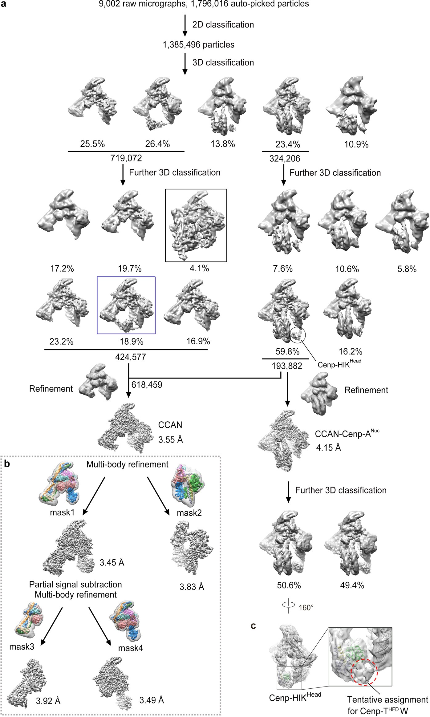 Extended Data Fig. 3: Workflow of 3D classification of the CCAN–Cenp-ANuc cryo-EM dataset.