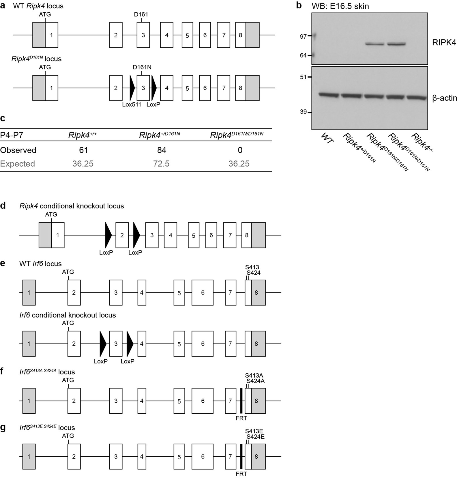 Extended Data Fig. 1