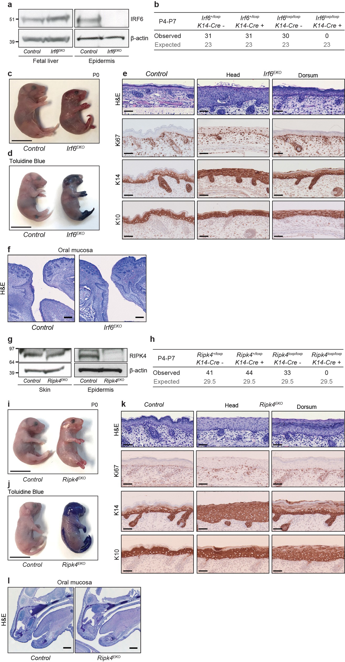 Extended Data Fig. 2