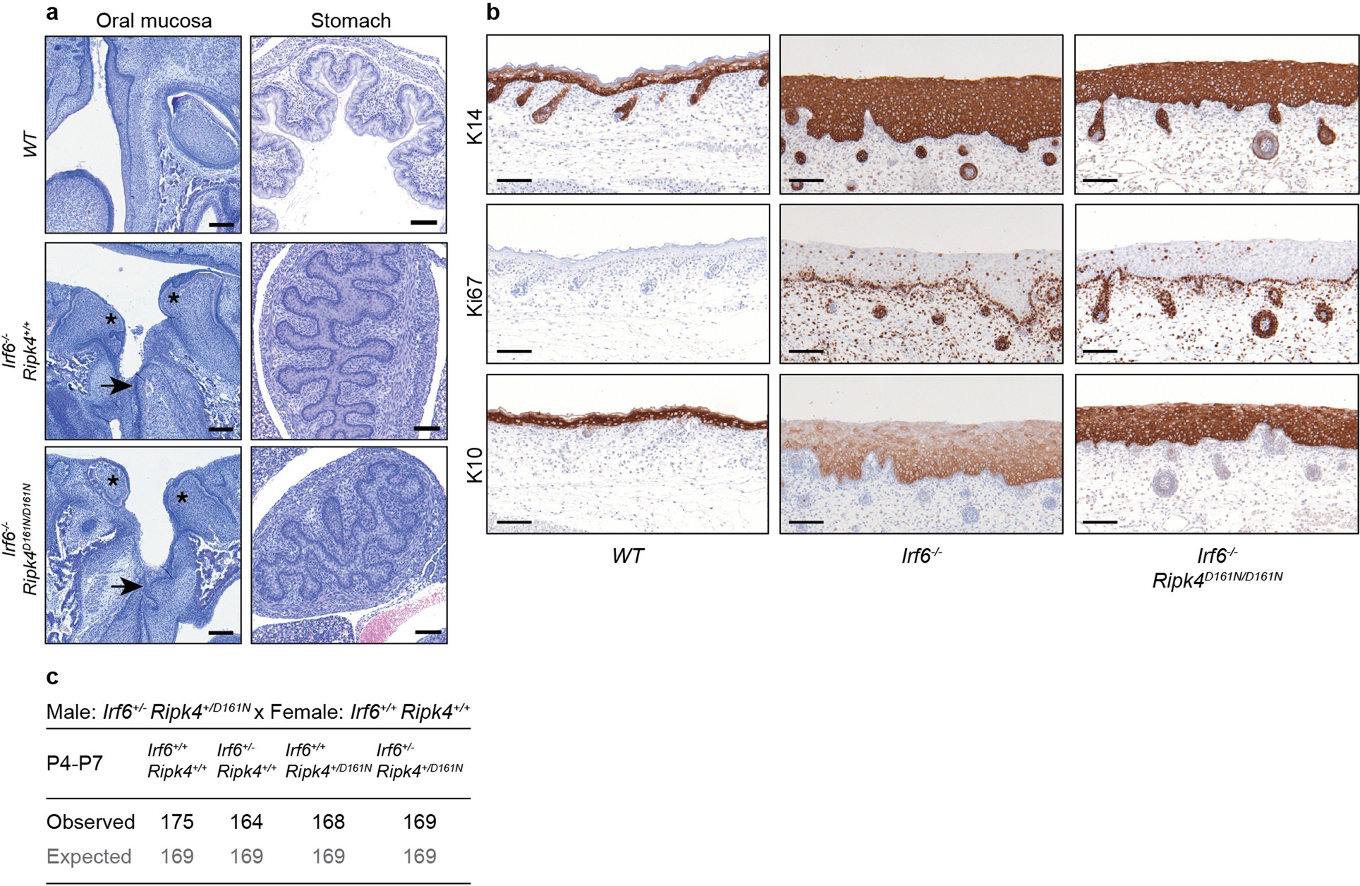Extended Data Fig. 3