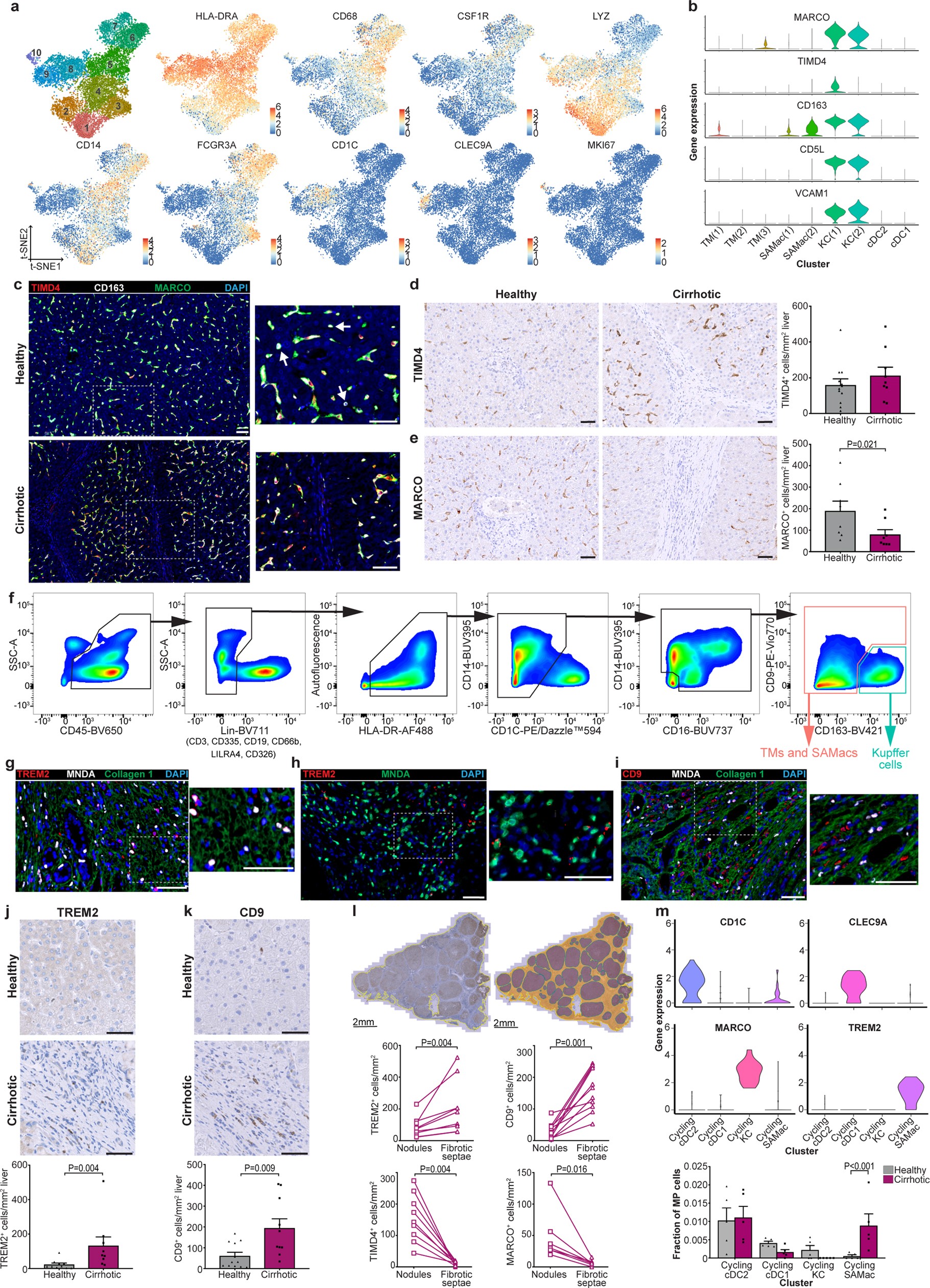 Extended Data Fig. 4