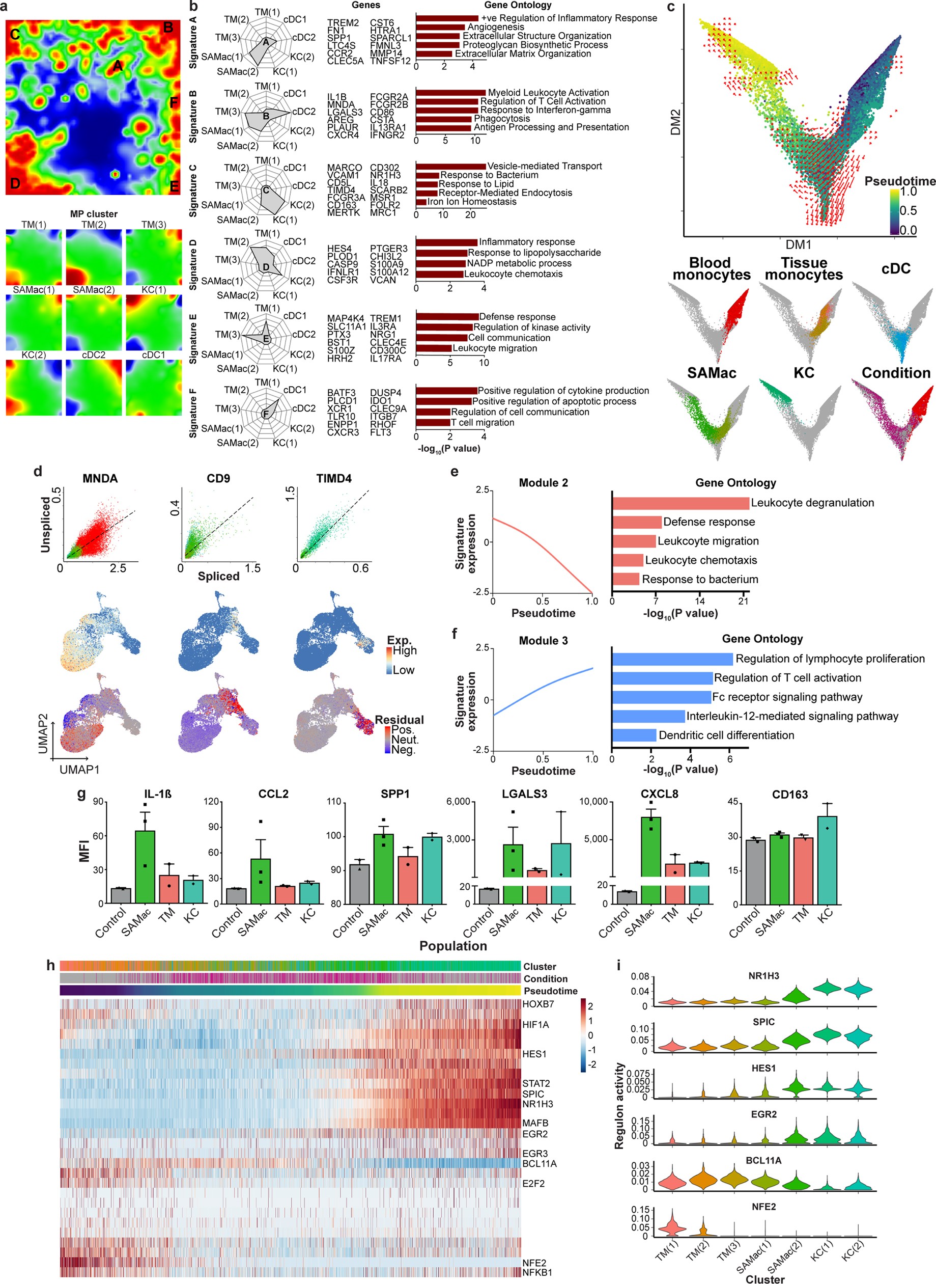 Extended Data Fig. 5