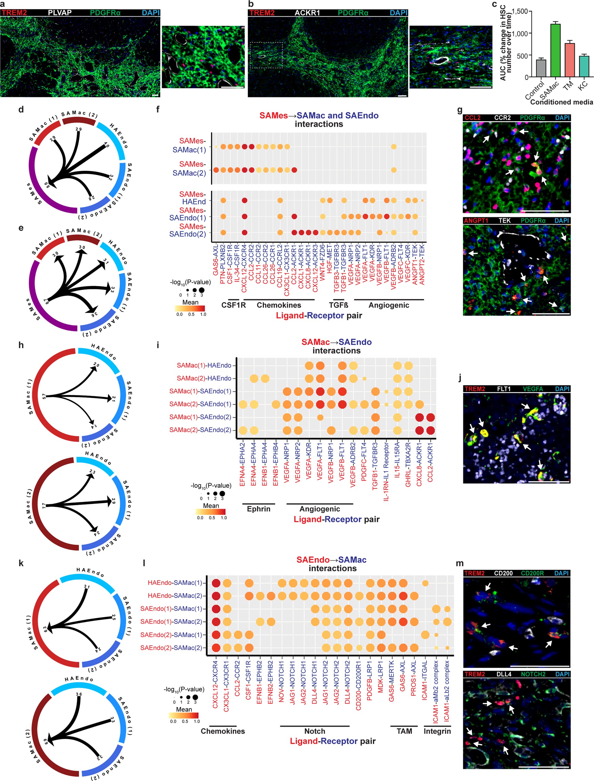 Extended Data Fig. 10