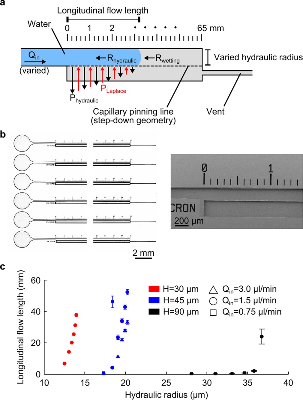 Extended Data Fig. 4