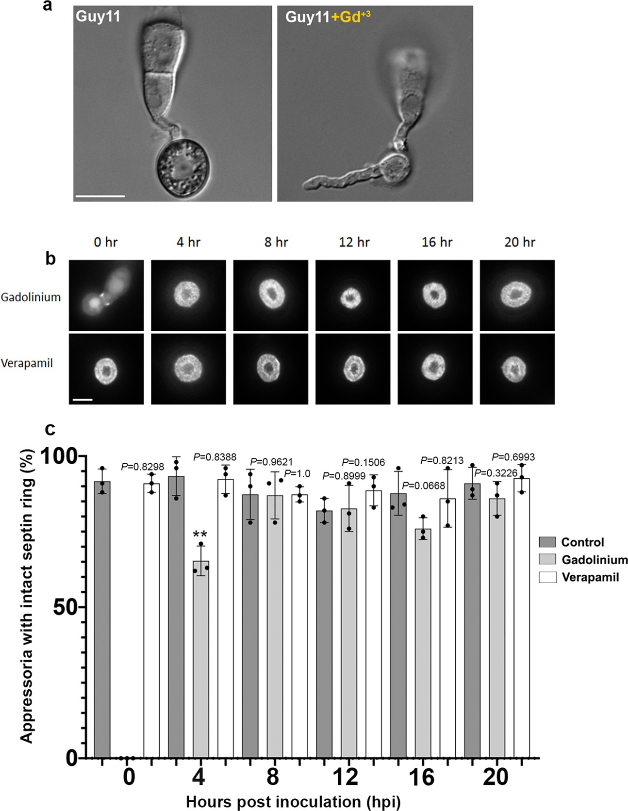 Extended Data Fig. 6