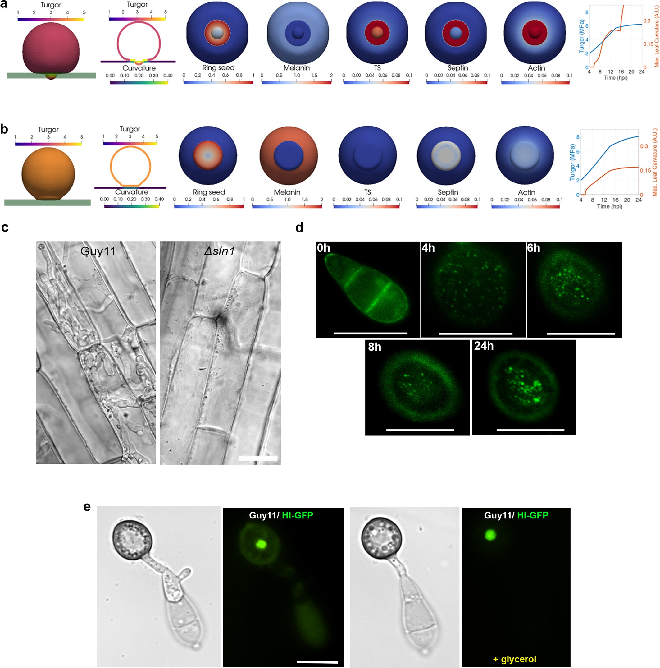 Extended Data Fig. 3