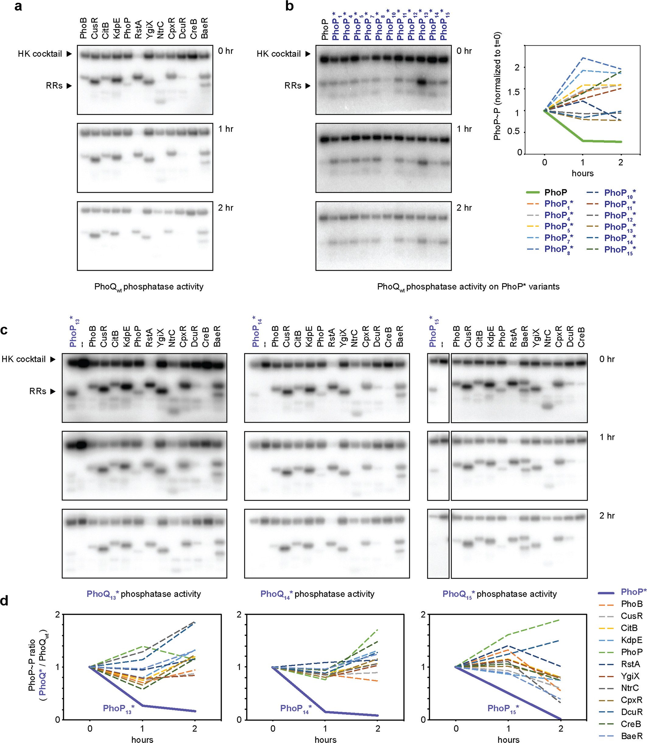 Extended Data Fig. 6