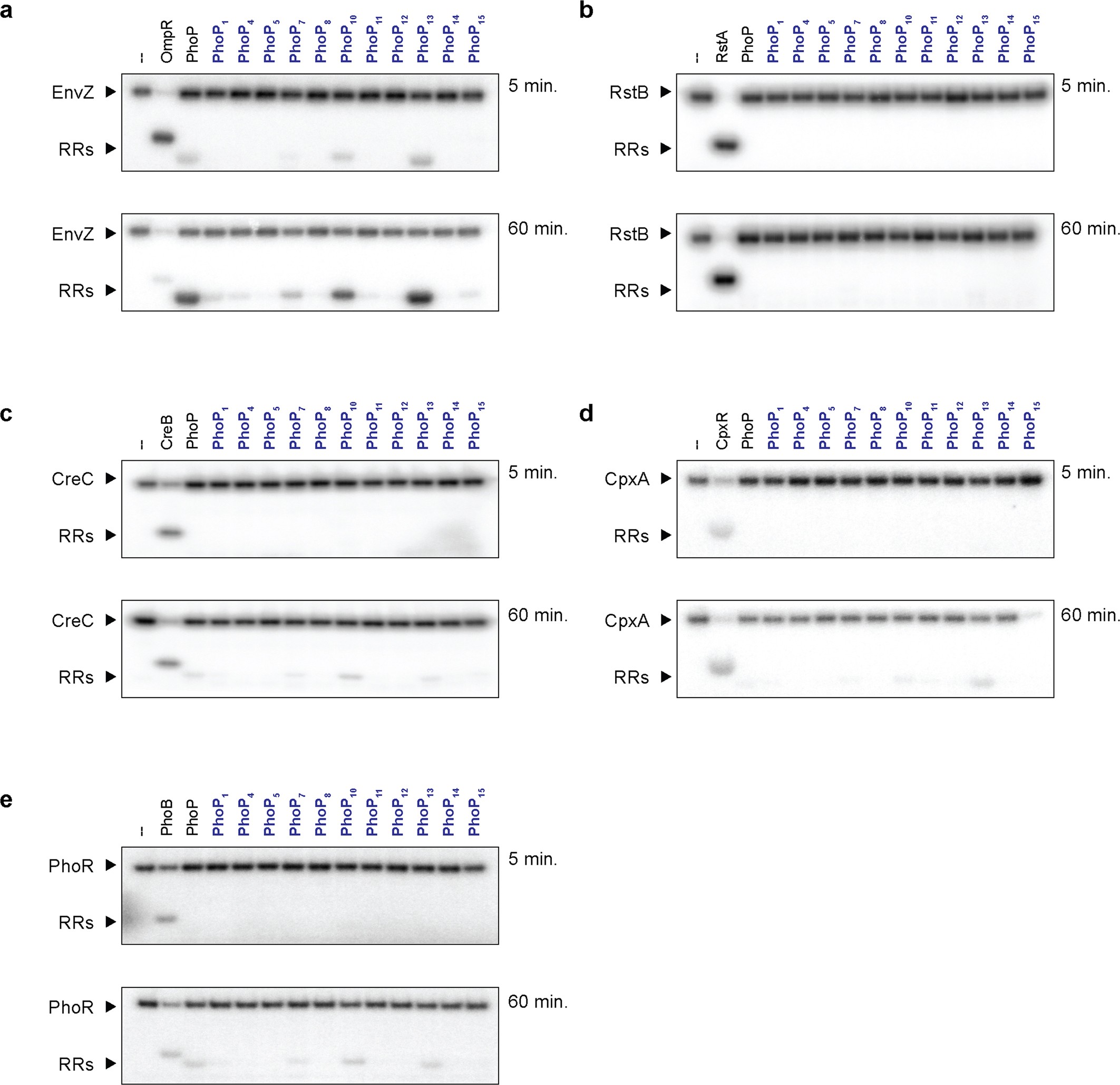 Extended Data Fig. 5