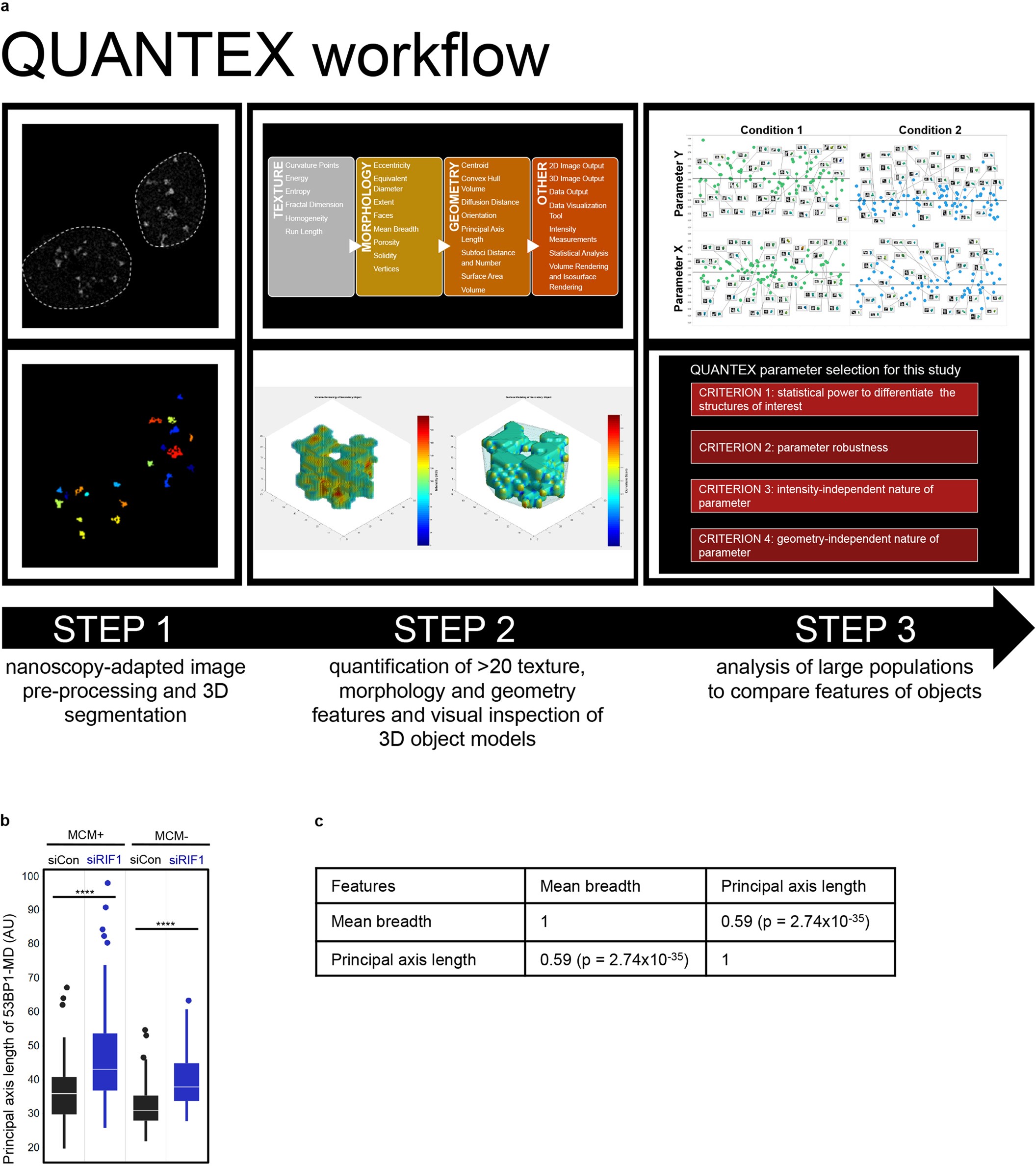 Extended Data Fig. 3: Image analysis software QUANTEX and feature comparison for maximum linear dimension.