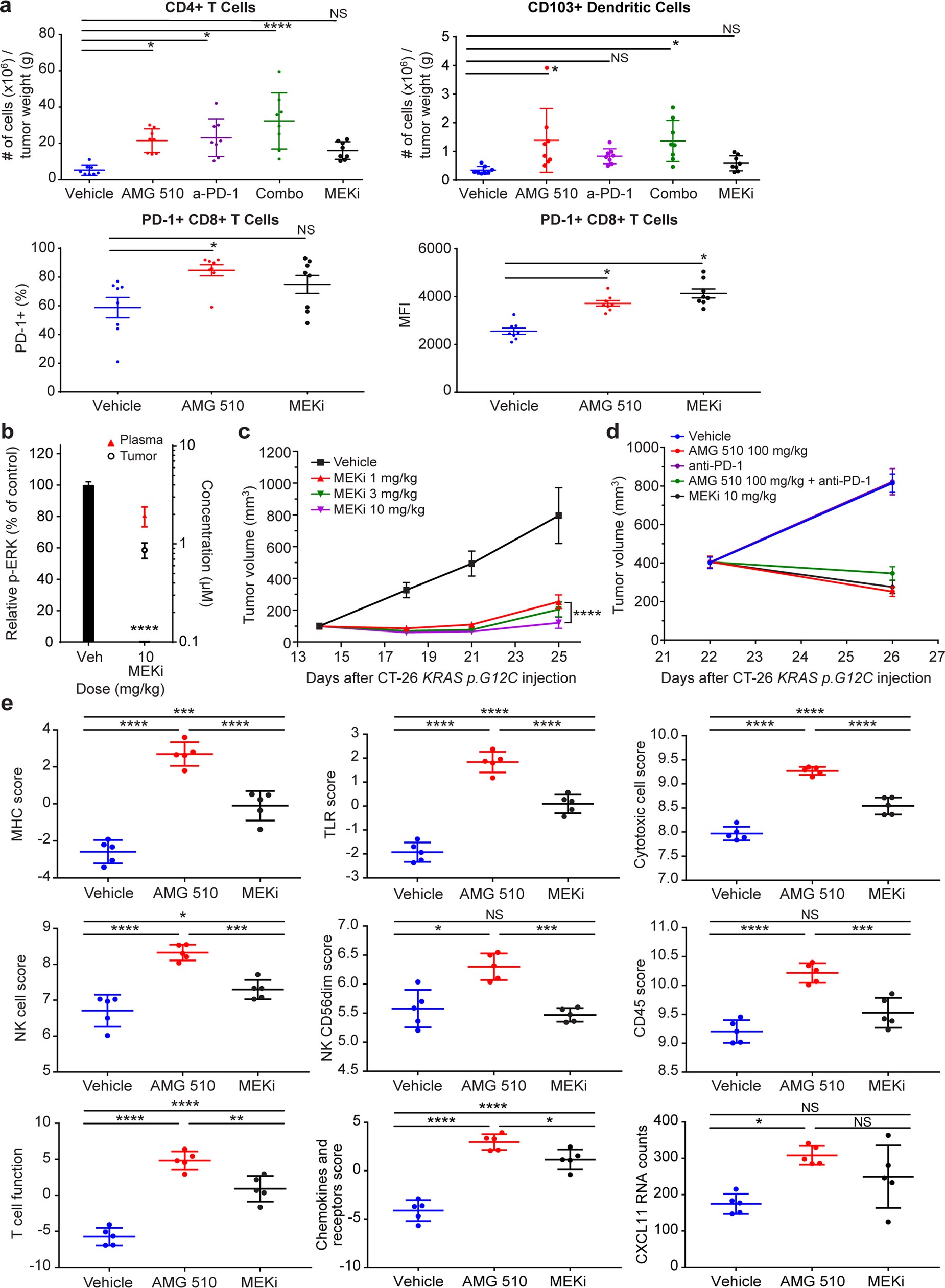 Extended Data Fig. 8: AMG 510 treatment induces a pro-inflammatory tumour microenvironment.