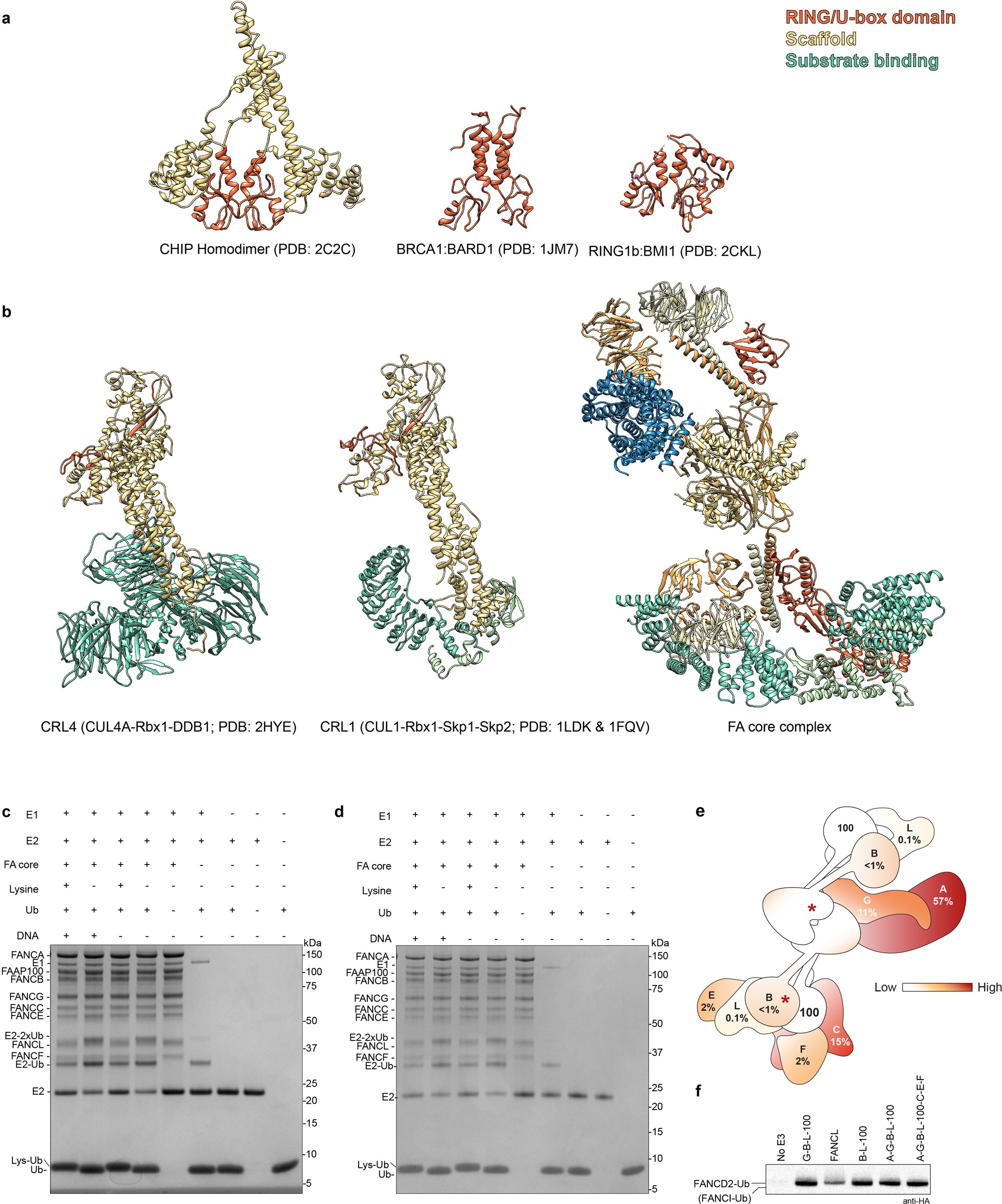 Extended Data Fig. 9